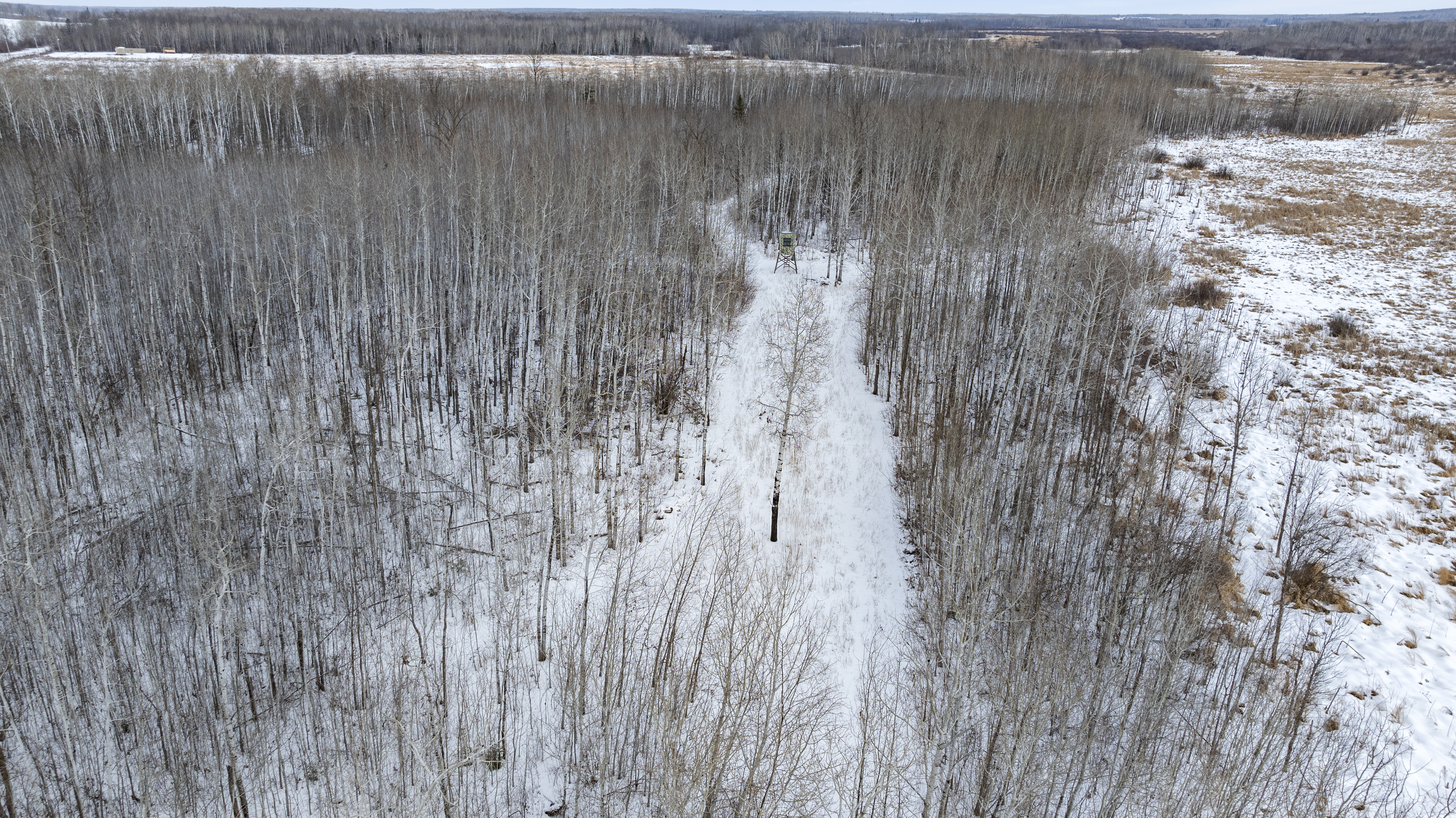 27262 151st Avenue - image 42