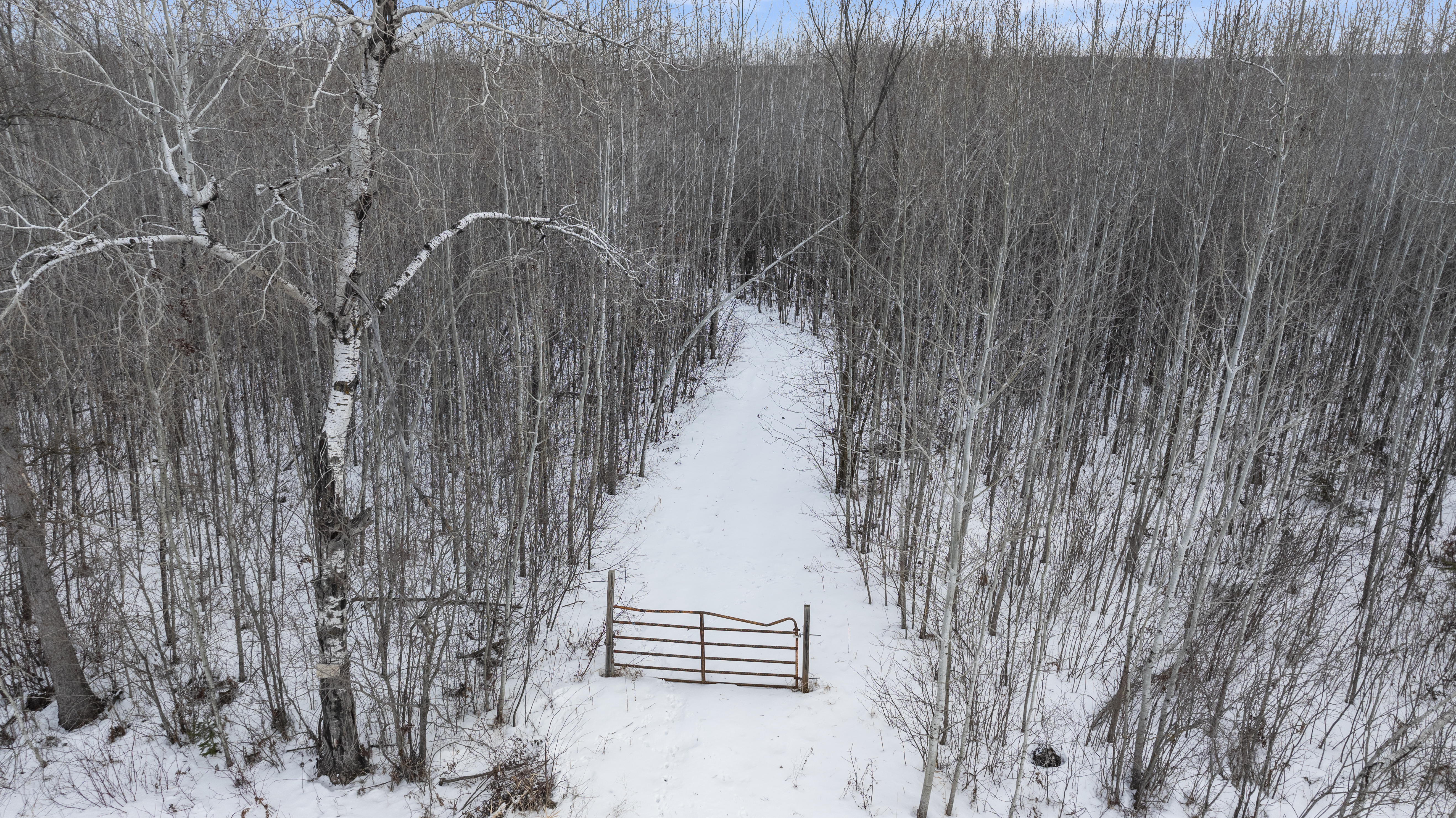 27262 151st Avenue - image 41