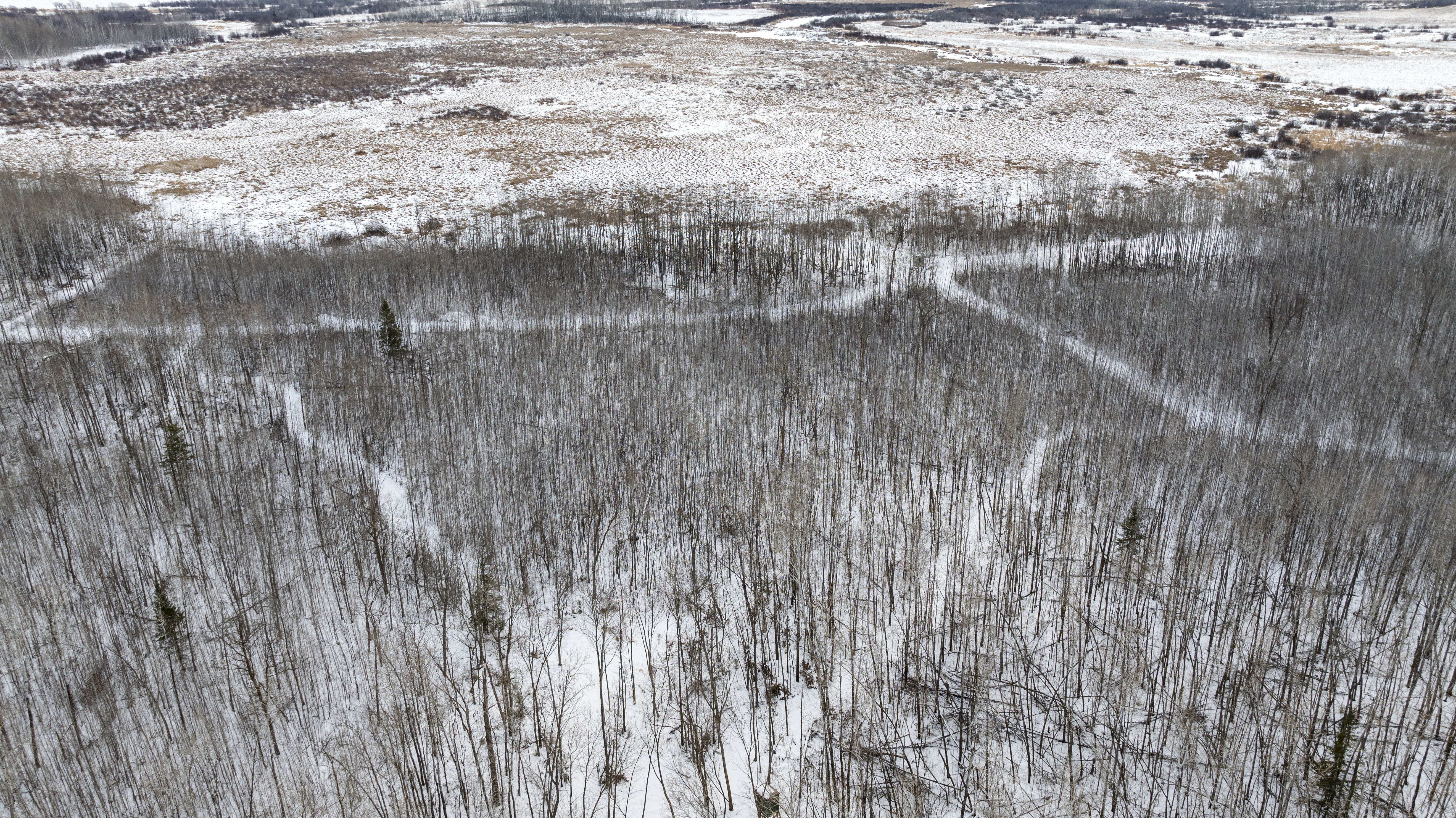 27262 151st Avenue - image 40