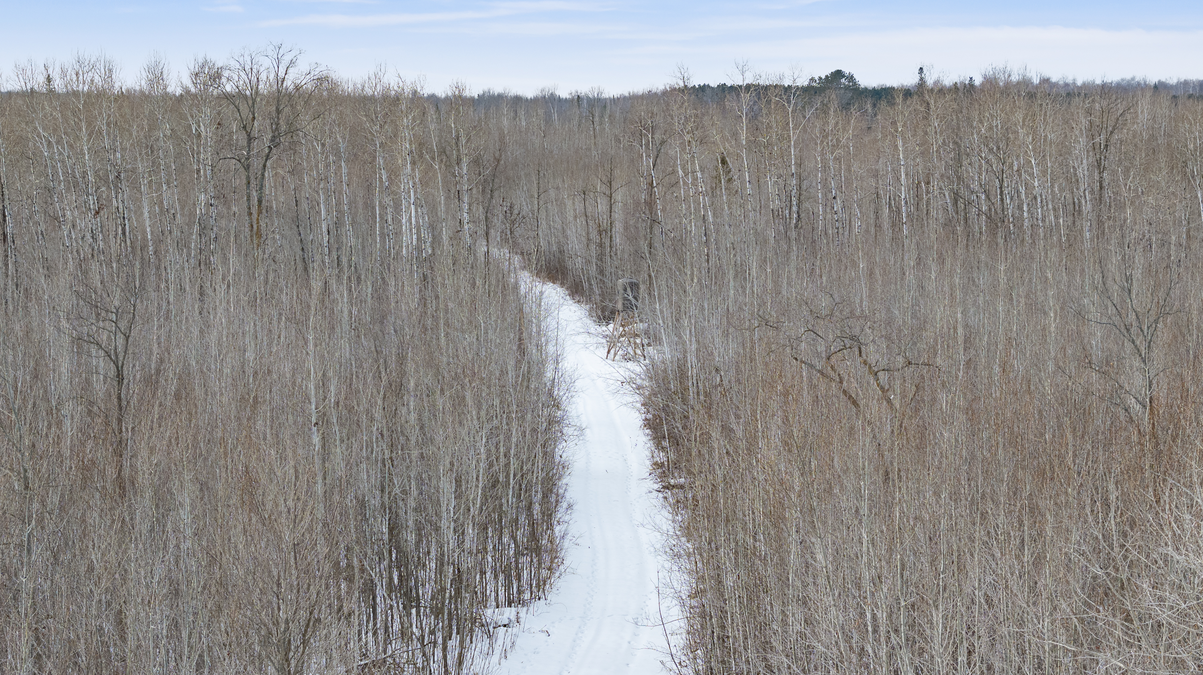 27262 151st Avenue - image 38