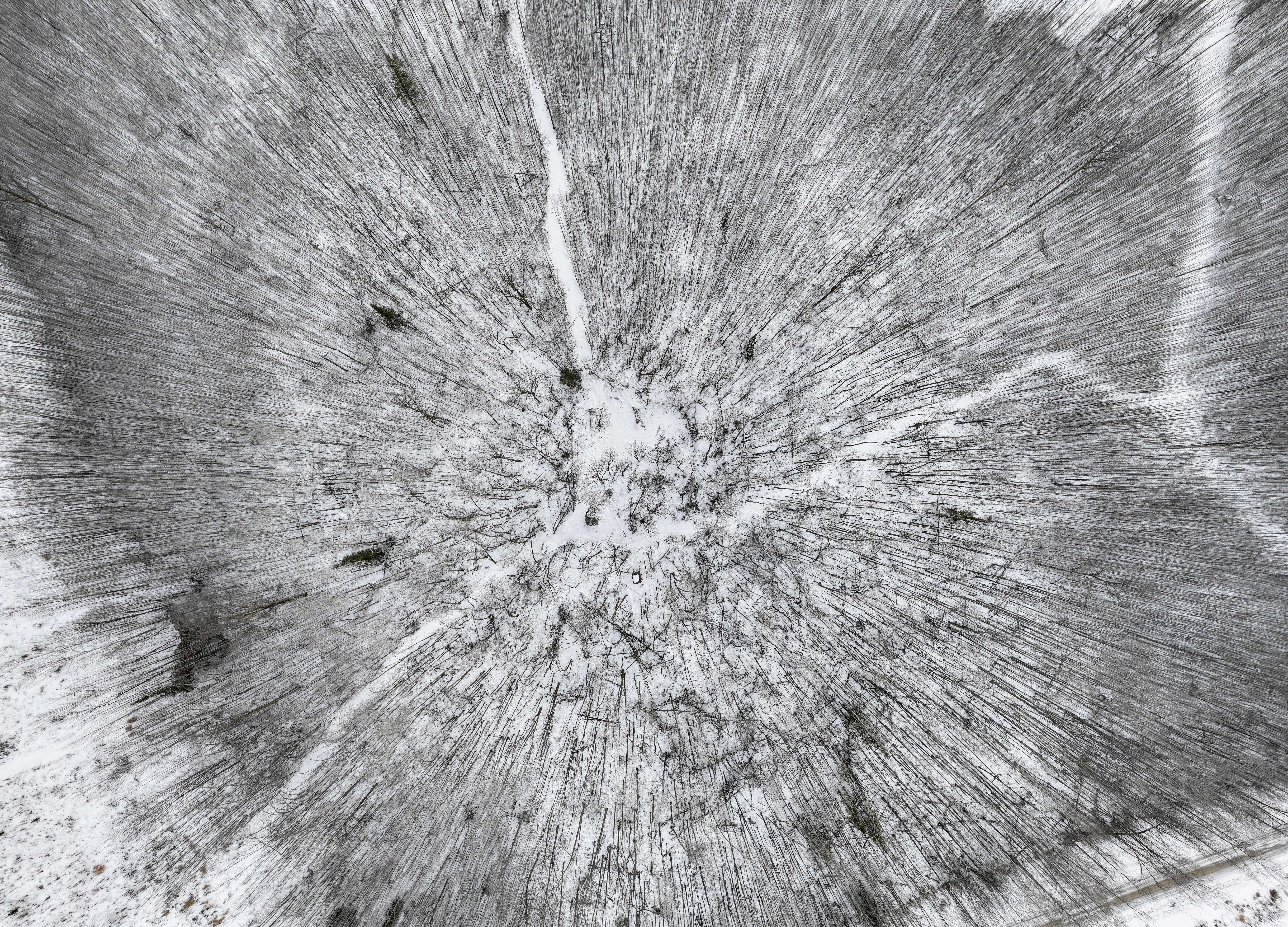 27262 151st Avenue - image 39