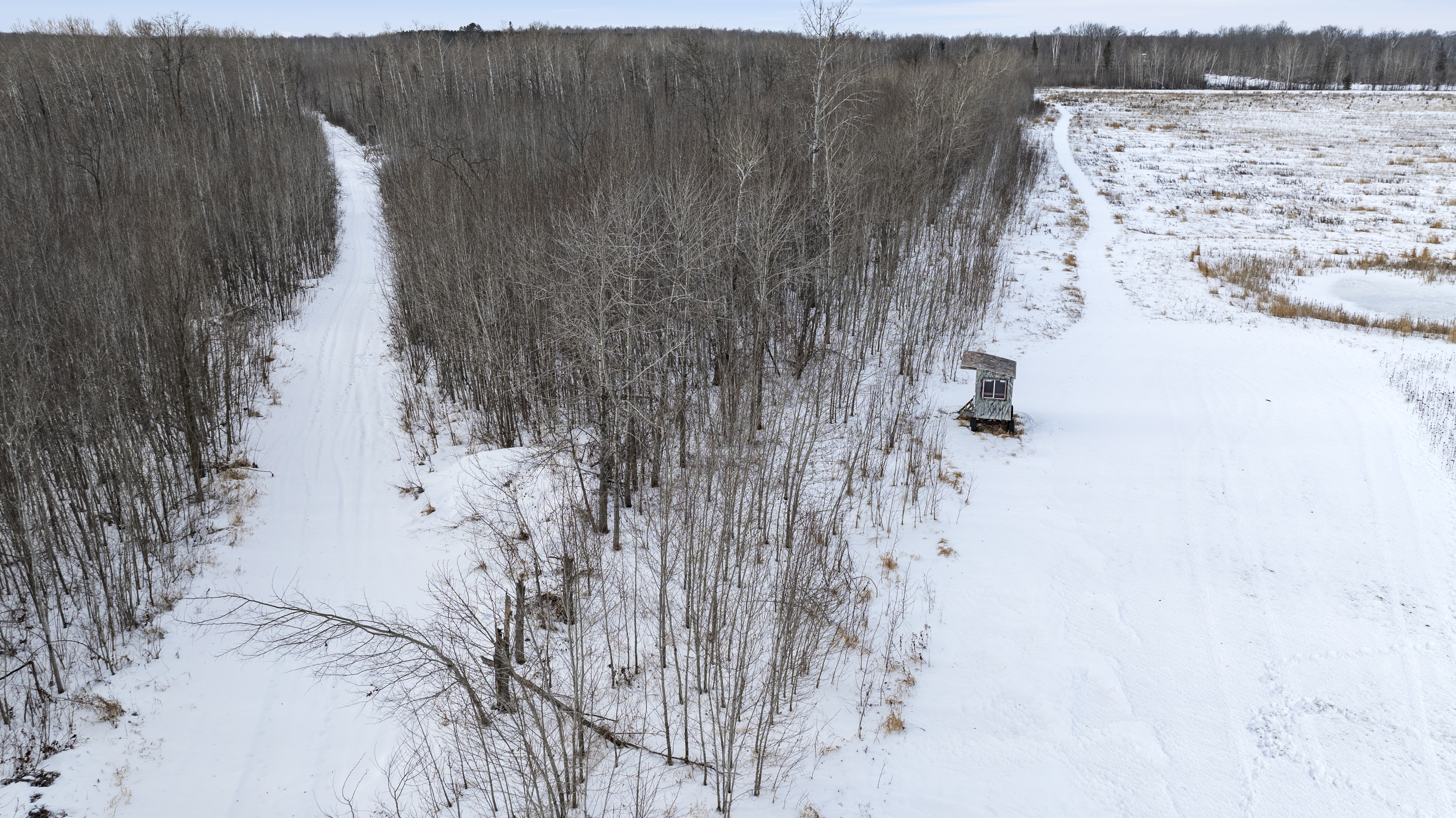 27262 151st Avenue - image 37