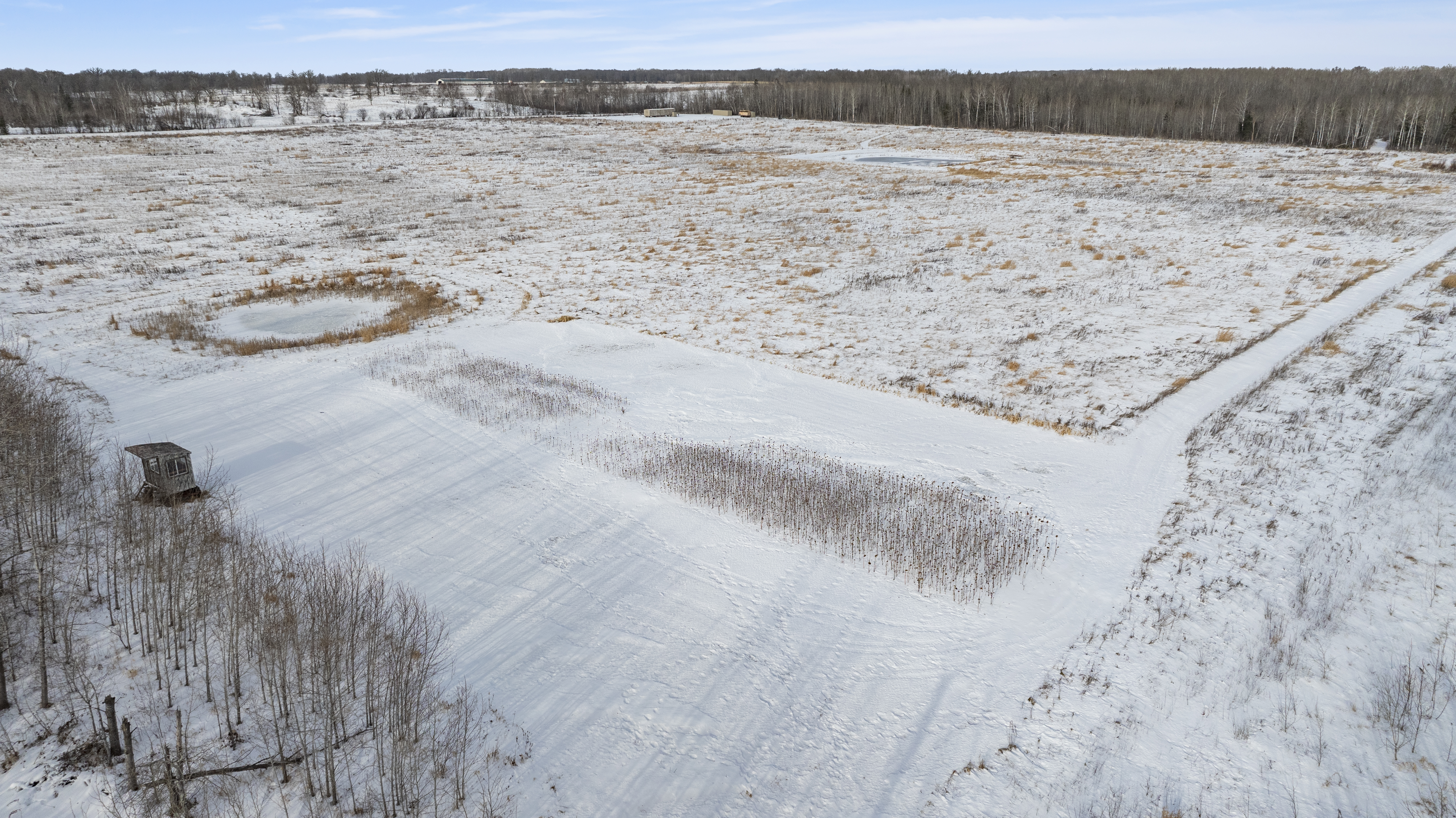 27262 151st Avenue - image 36