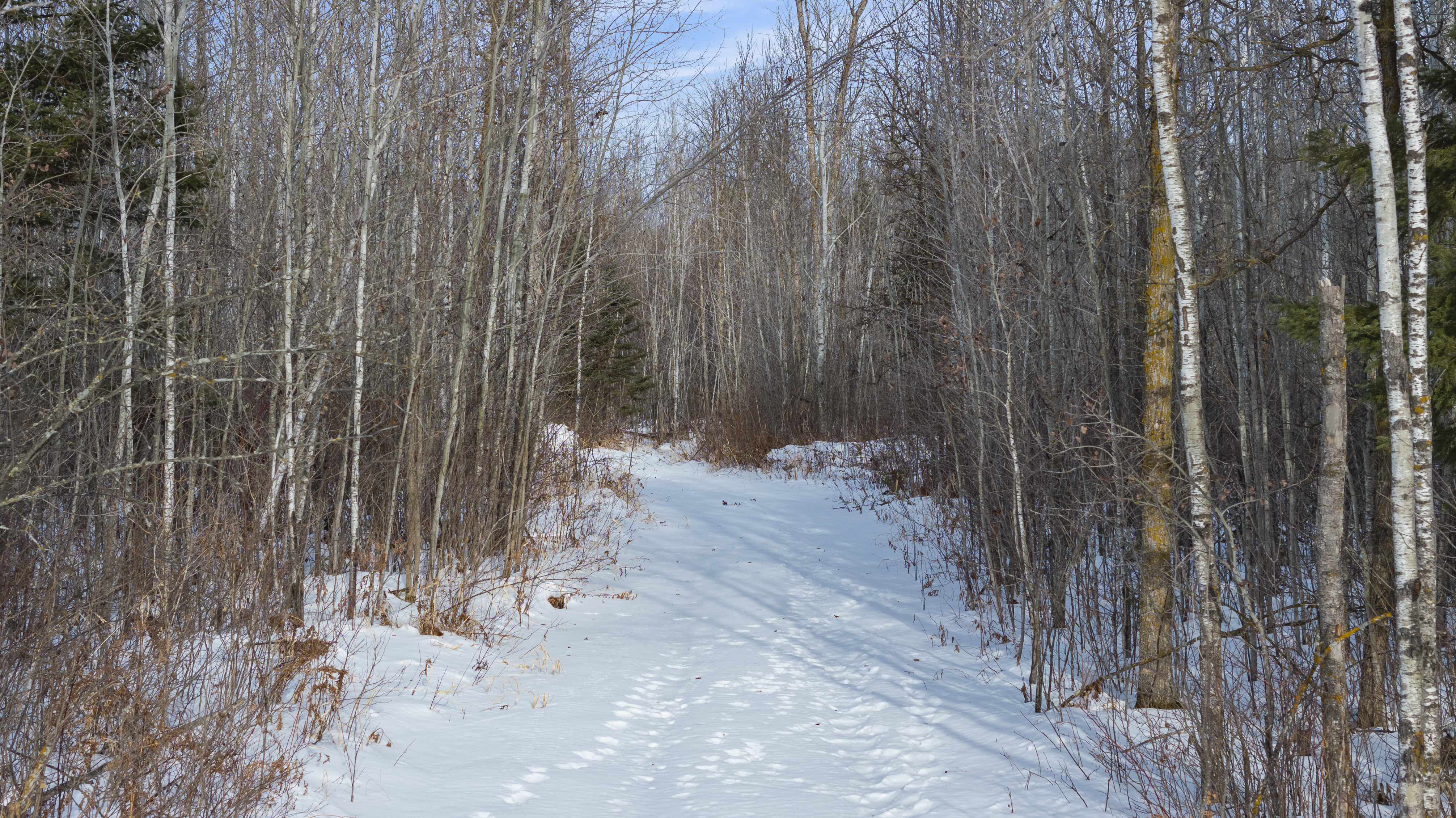 27262 151st Avenue - image 34