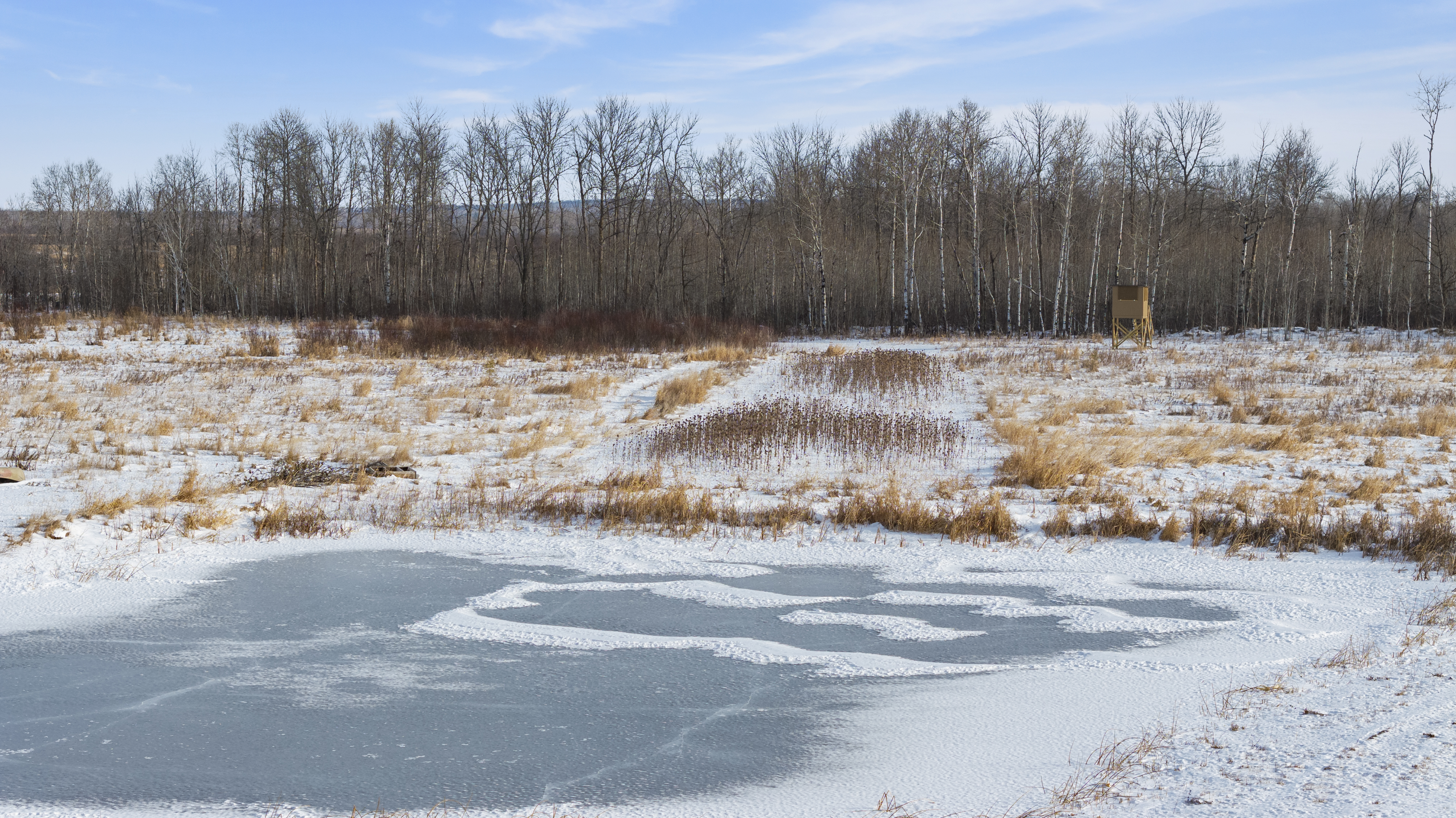 27262 151st Avenue - image 28