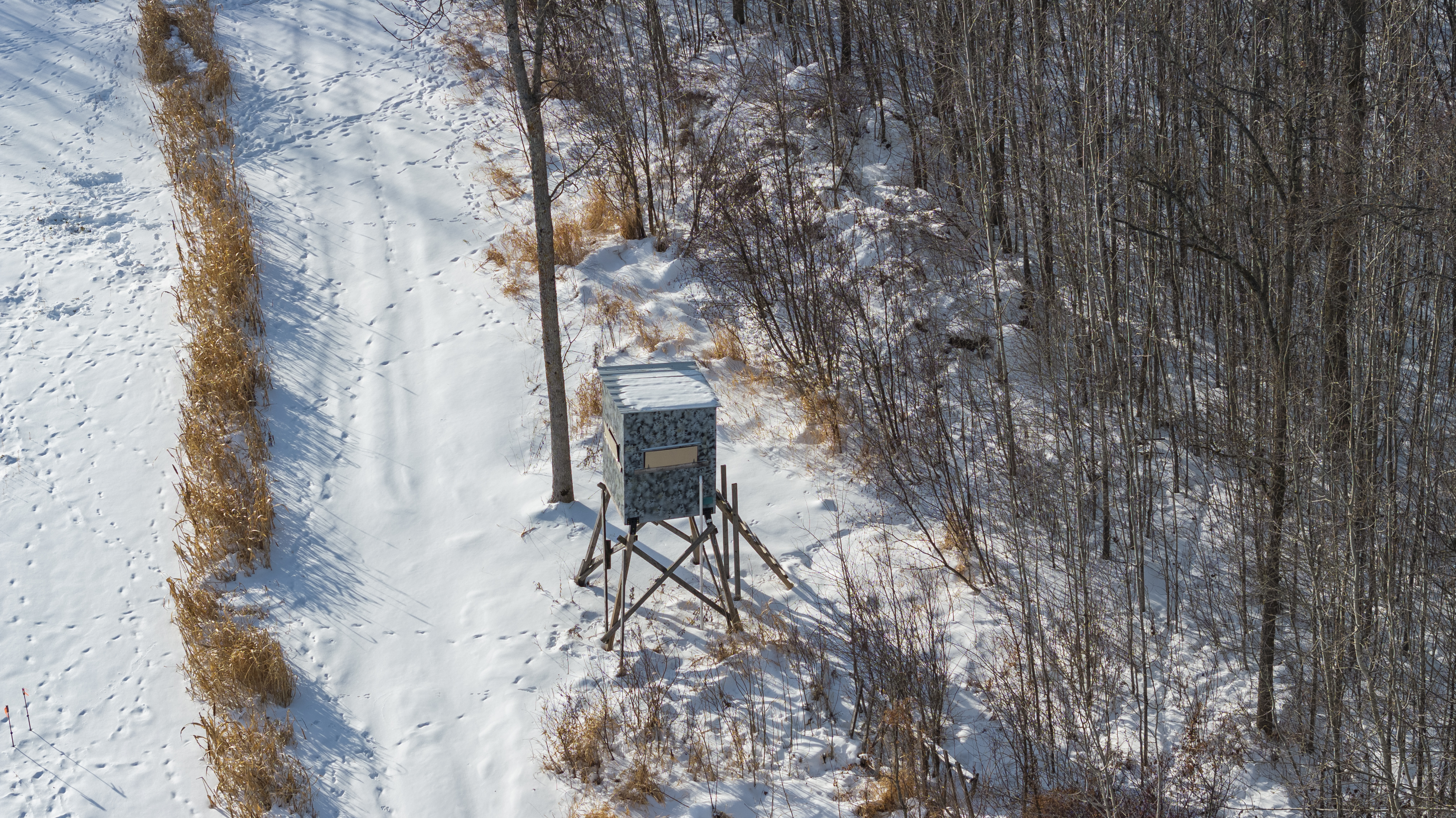 27262 151st Avenue - image 11