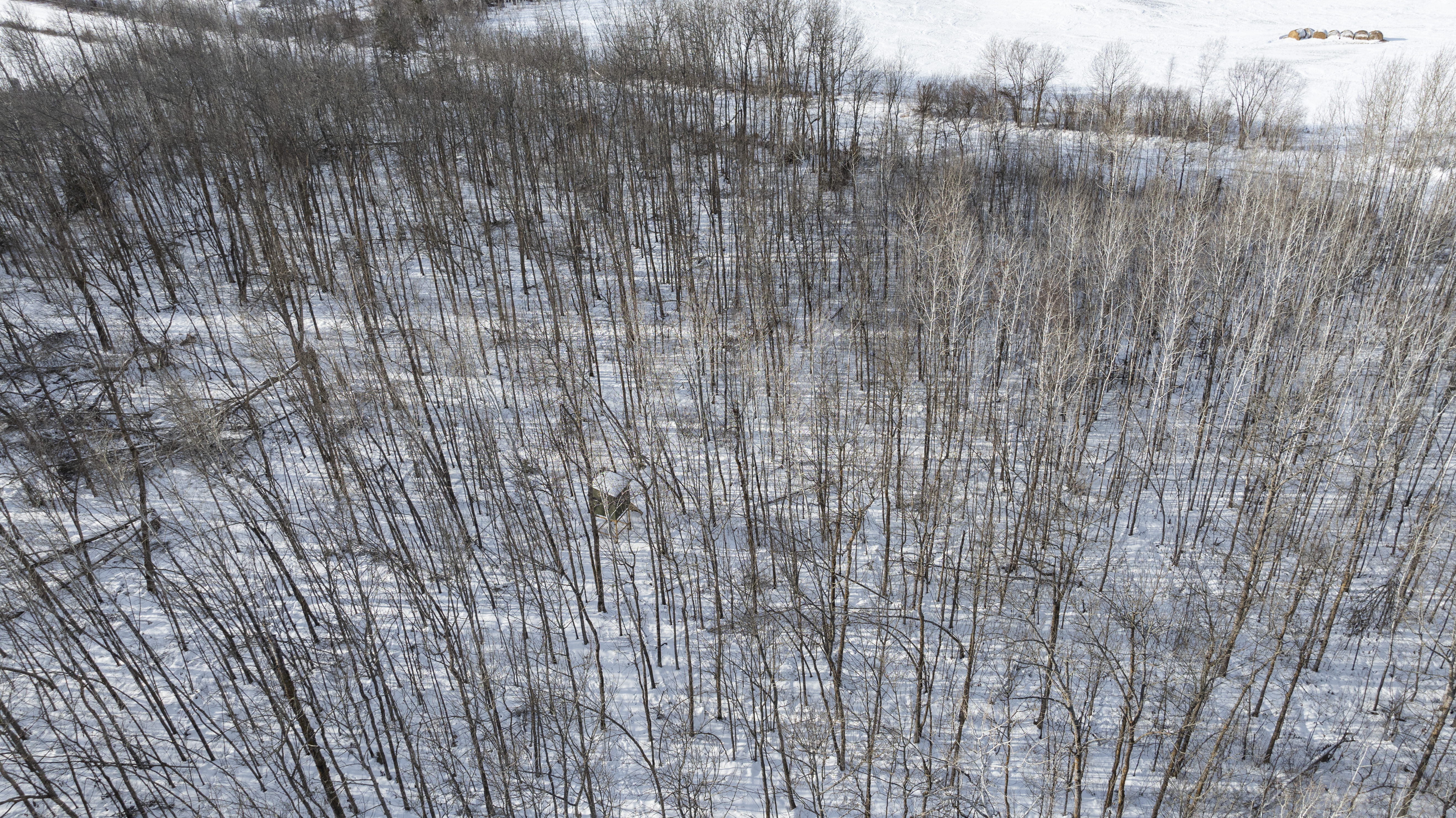 27262 151st Avenue - image 12