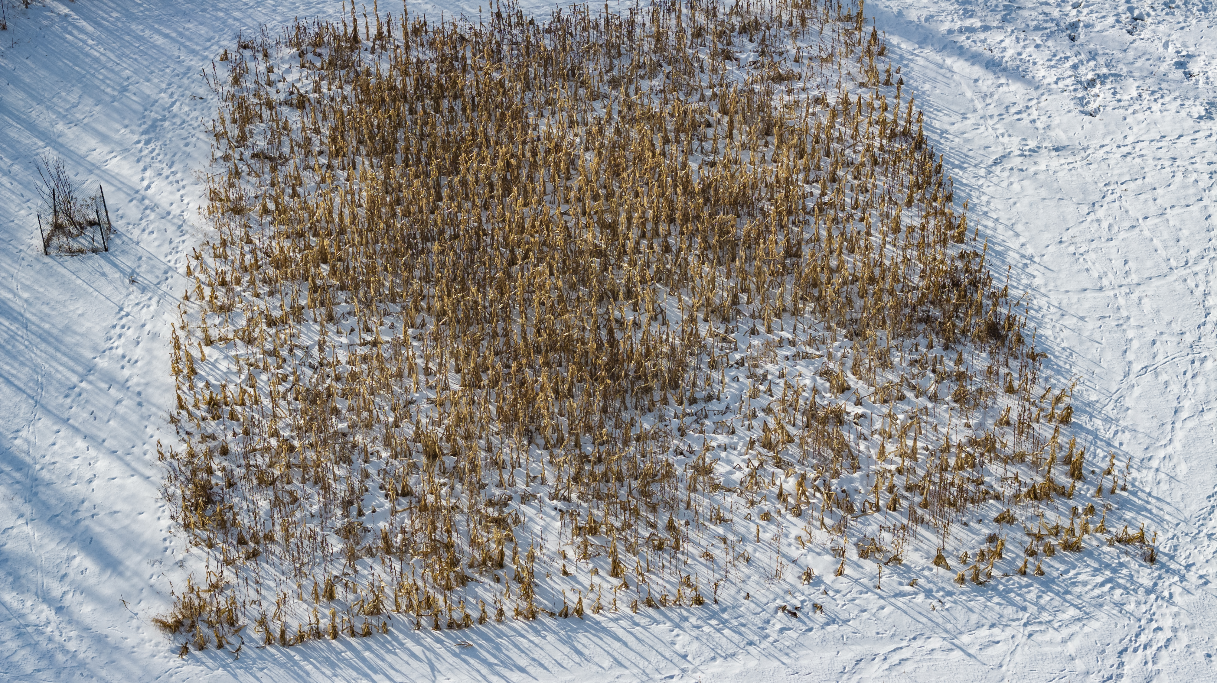 27262 151st Avenue - image 9