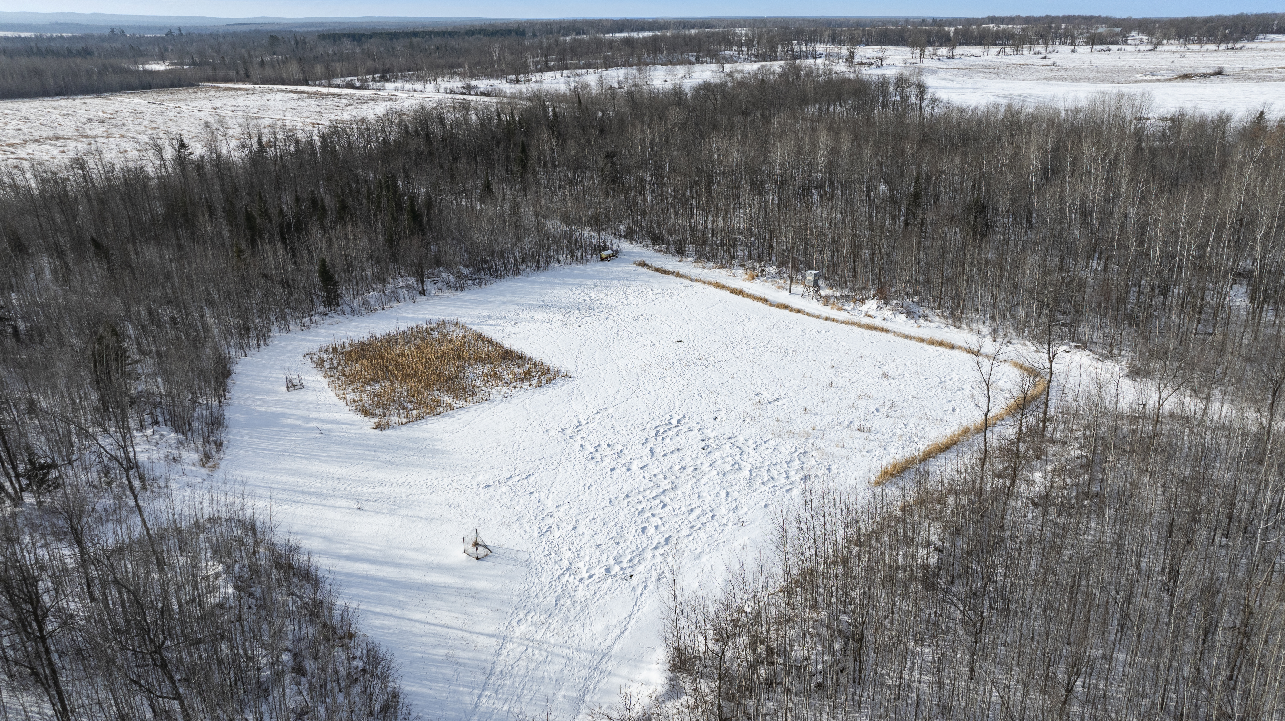 27262 151st Avenue - image 8