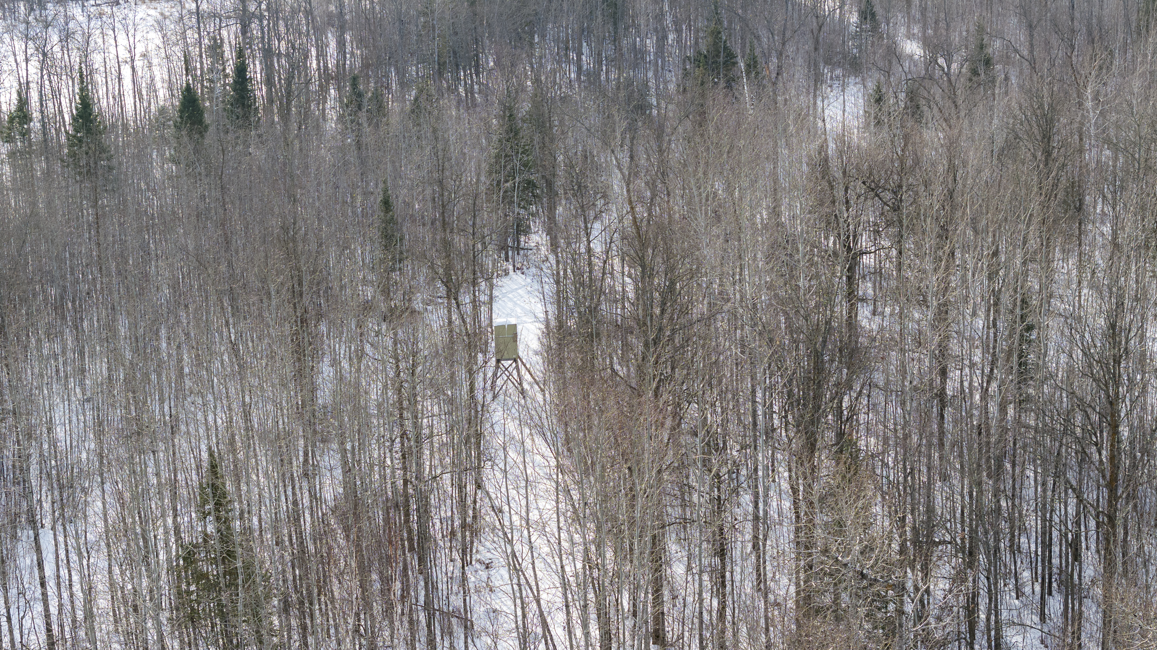 27262 151st Avenue - image 7