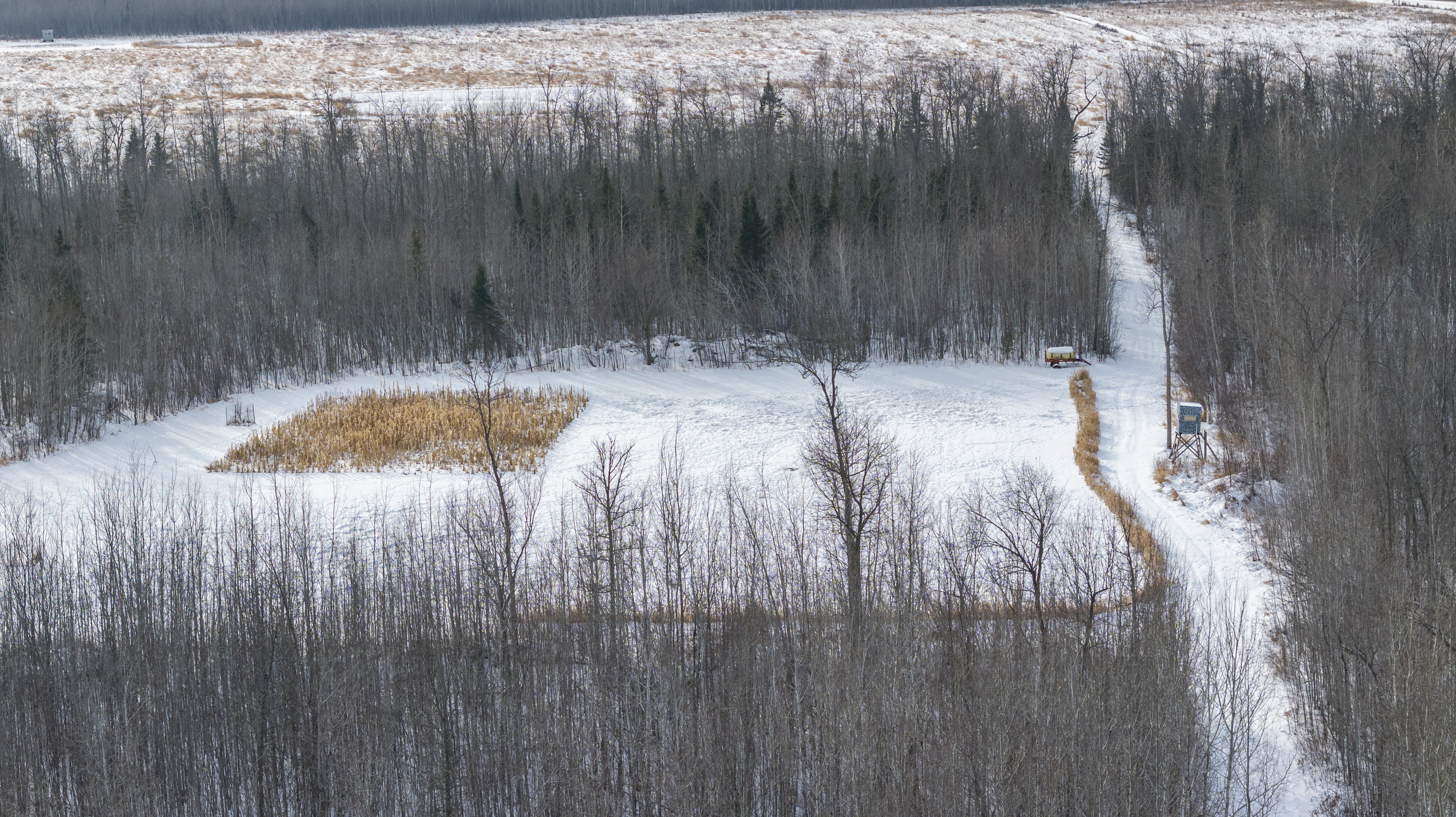 27262 151st Avenue - image 5