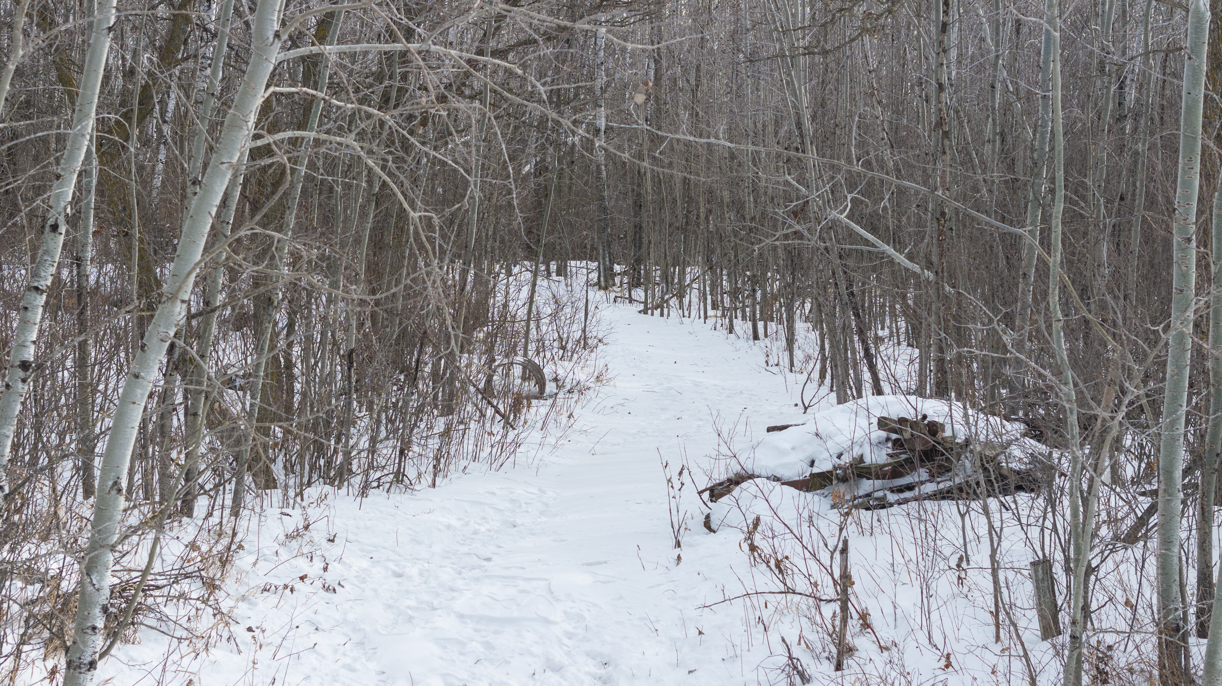 27262 151st Avenue - image 3