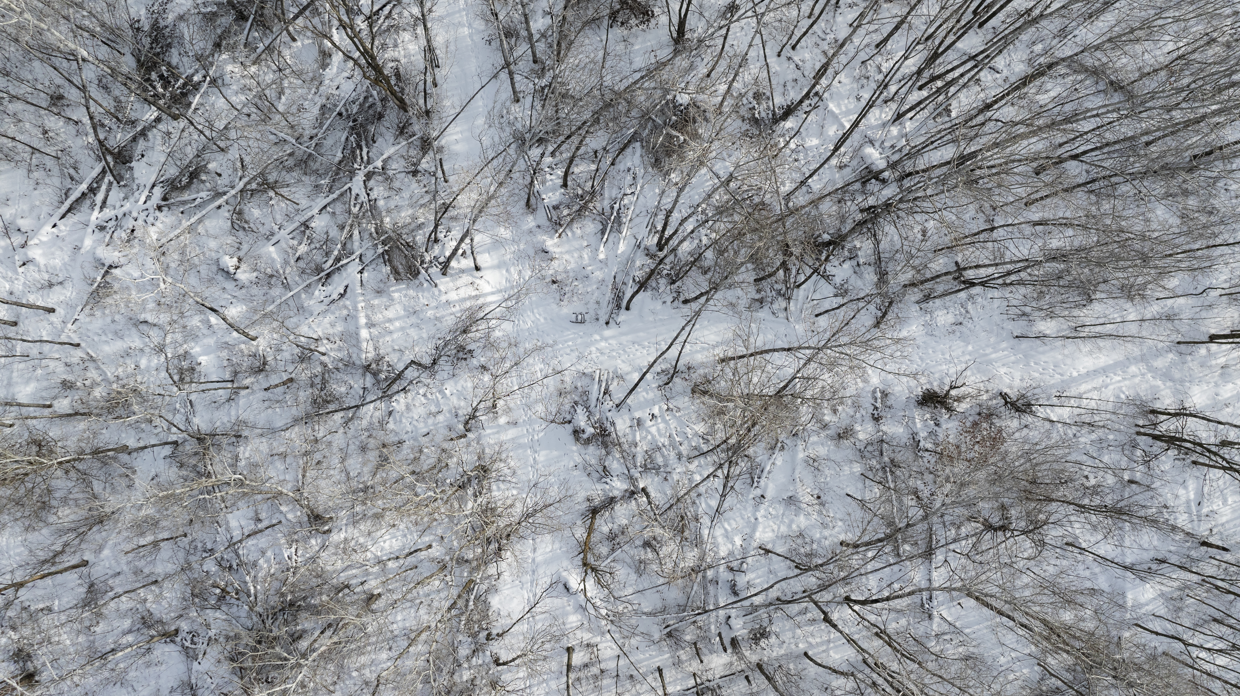 27262 151st Avenue - image 4