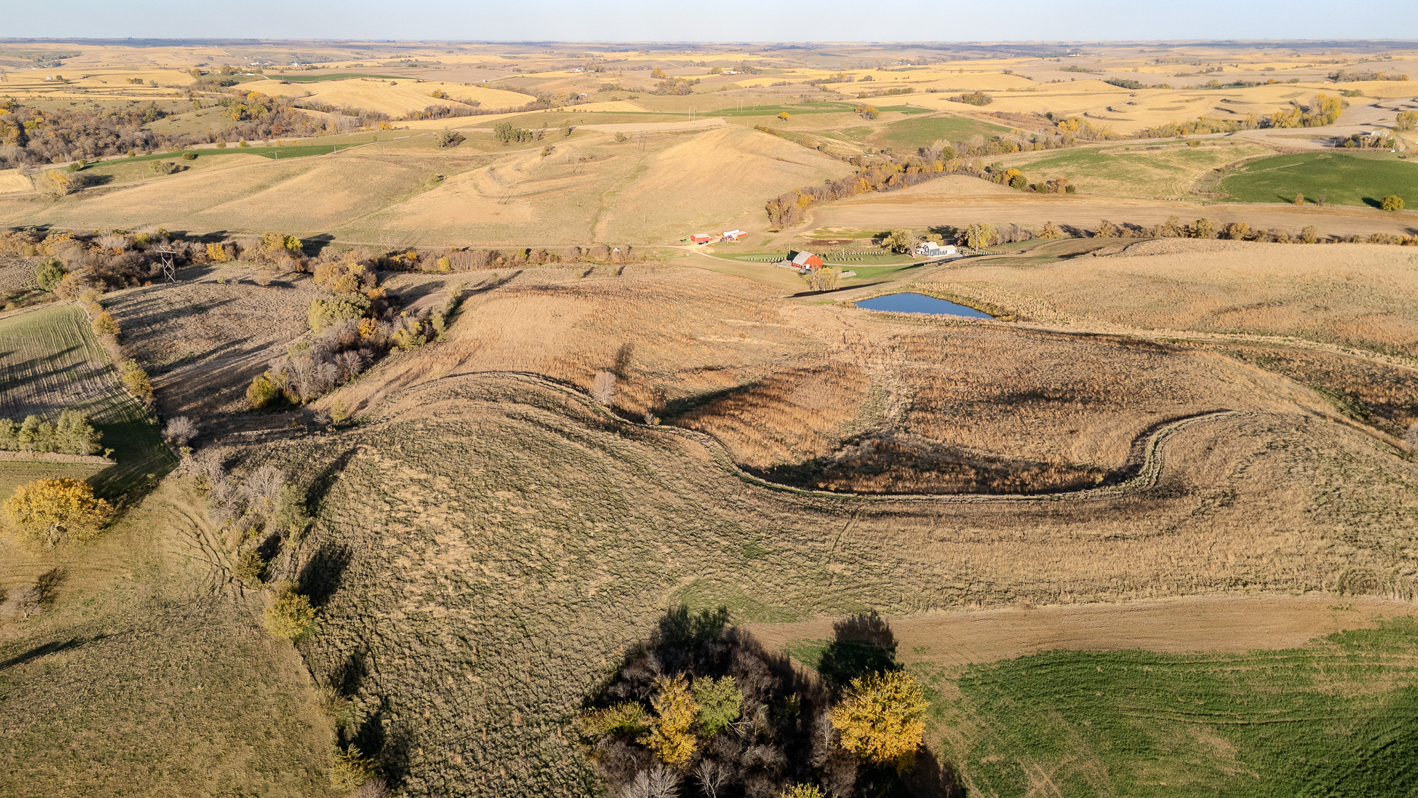 Arion, IA 51520 - image 8