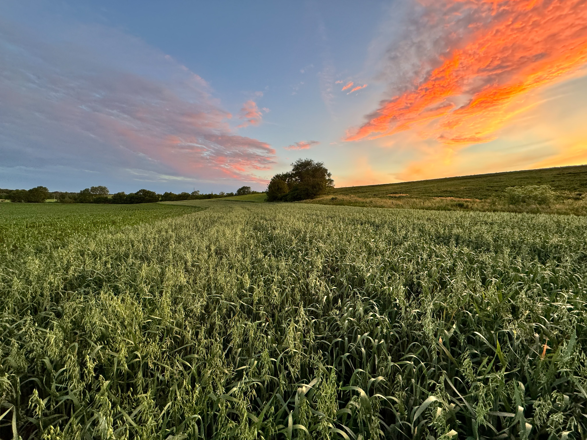 Arion, IA 51520 - image 15