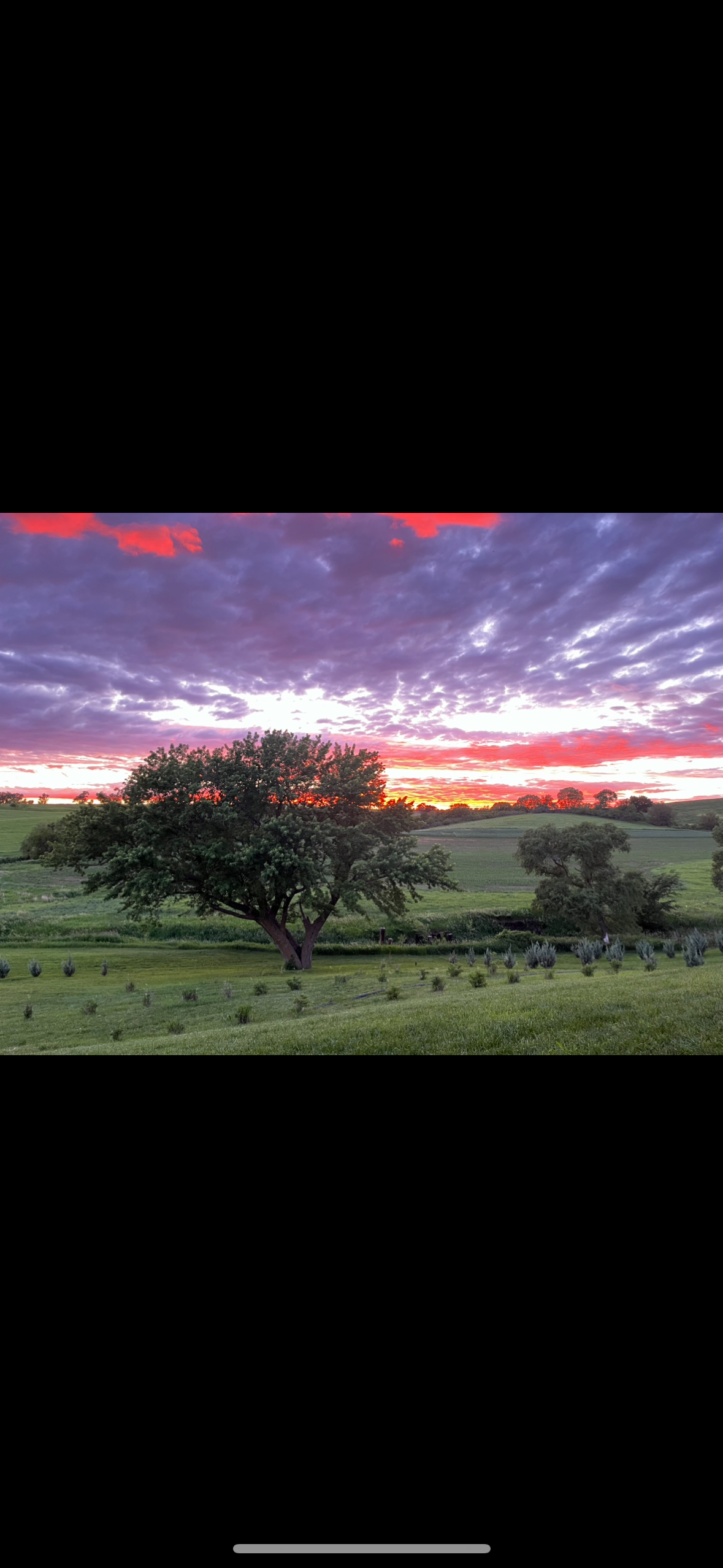 Arion, IA 51520 - image 16