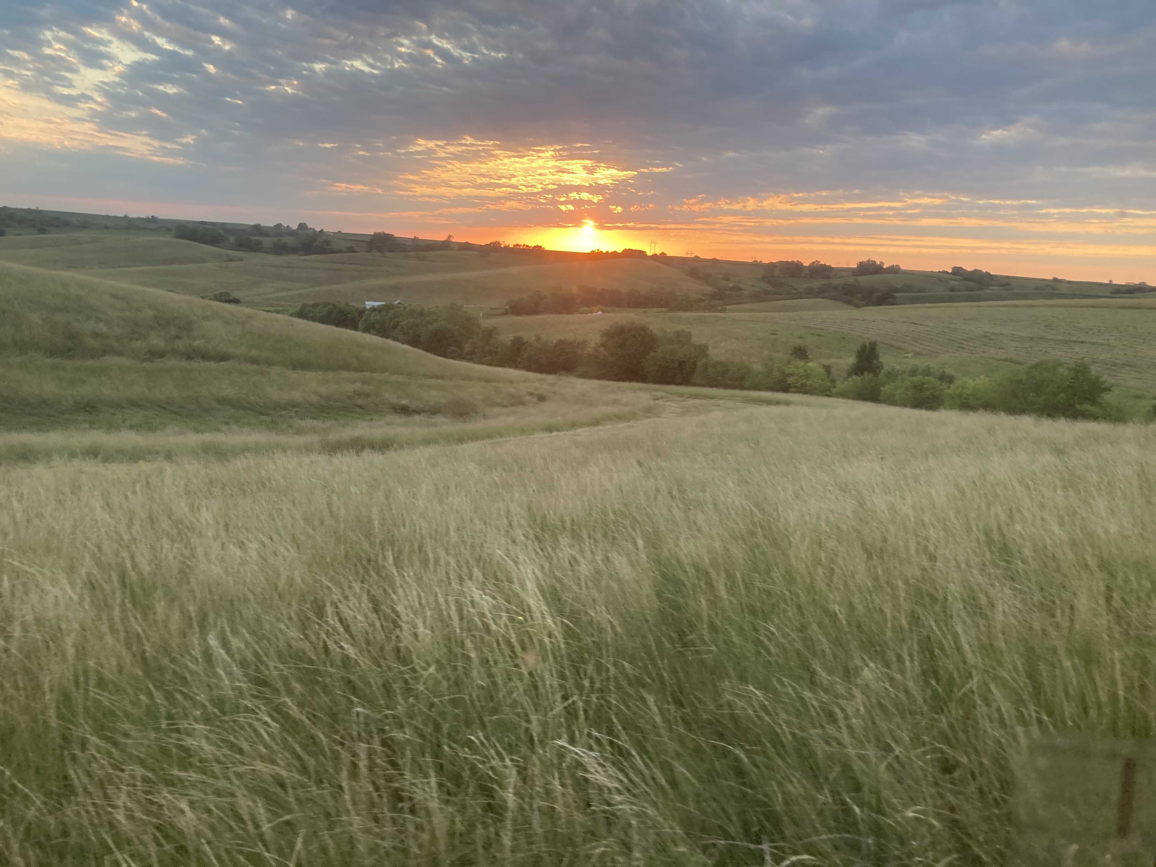 Arion, IA 51520 - image 14