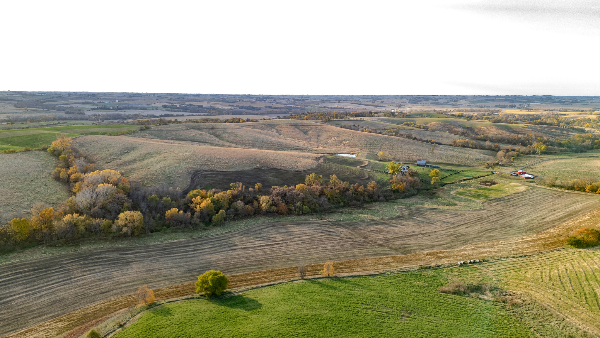 Arion, IA 51520 - image 12