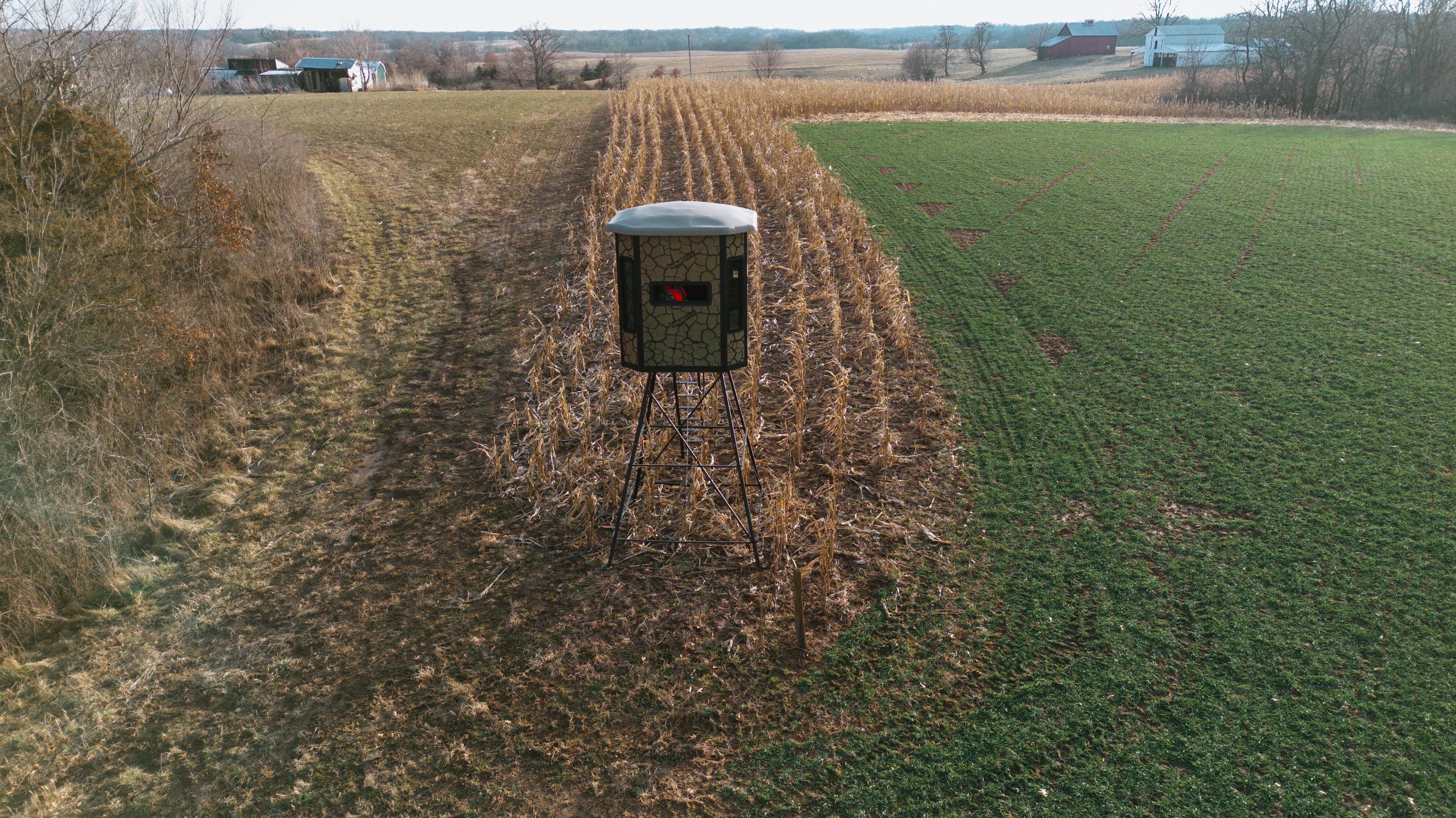 31702 127th Street - image 15