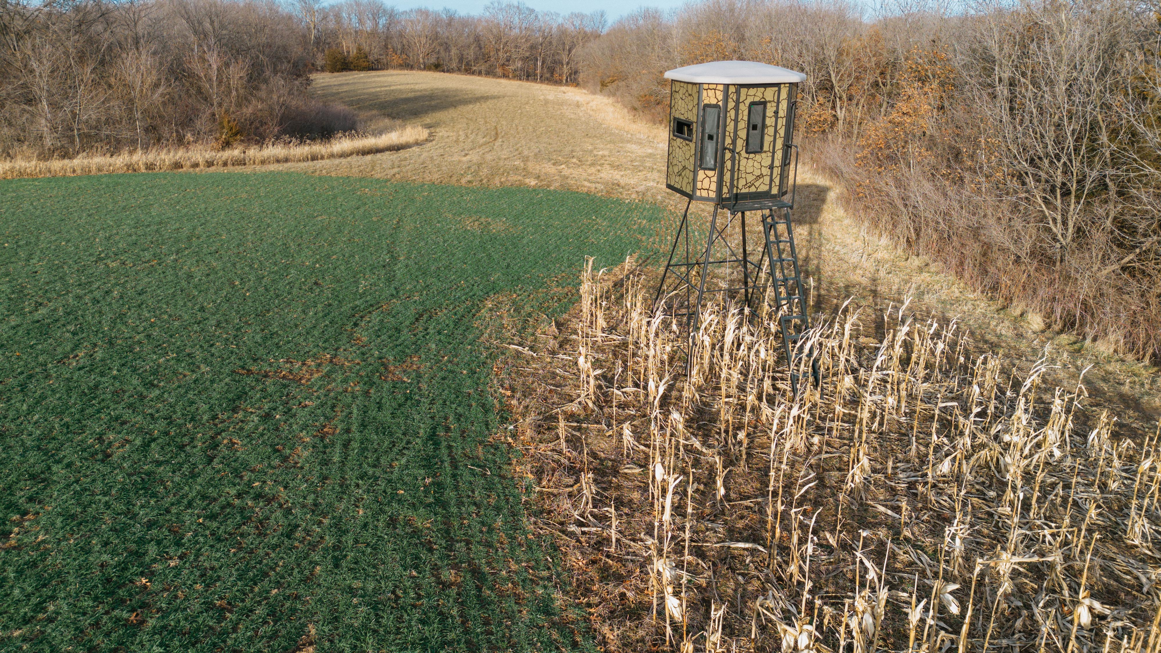 31702 127th Street - image 17