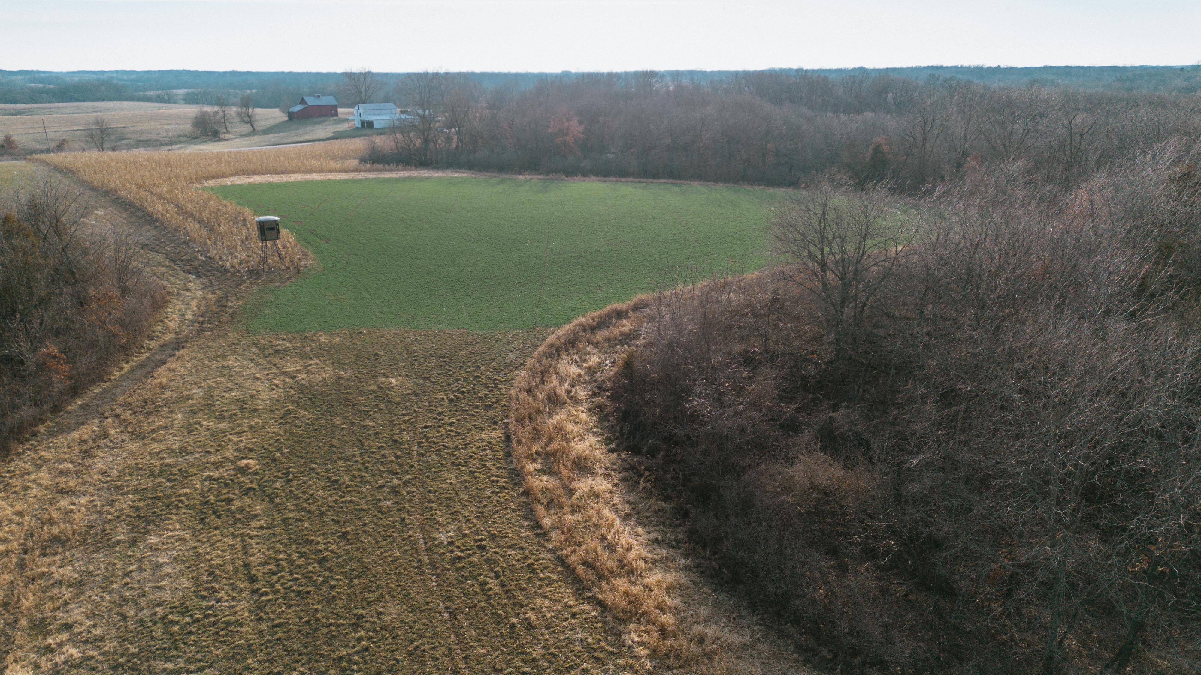 31702 127th Street - image 14