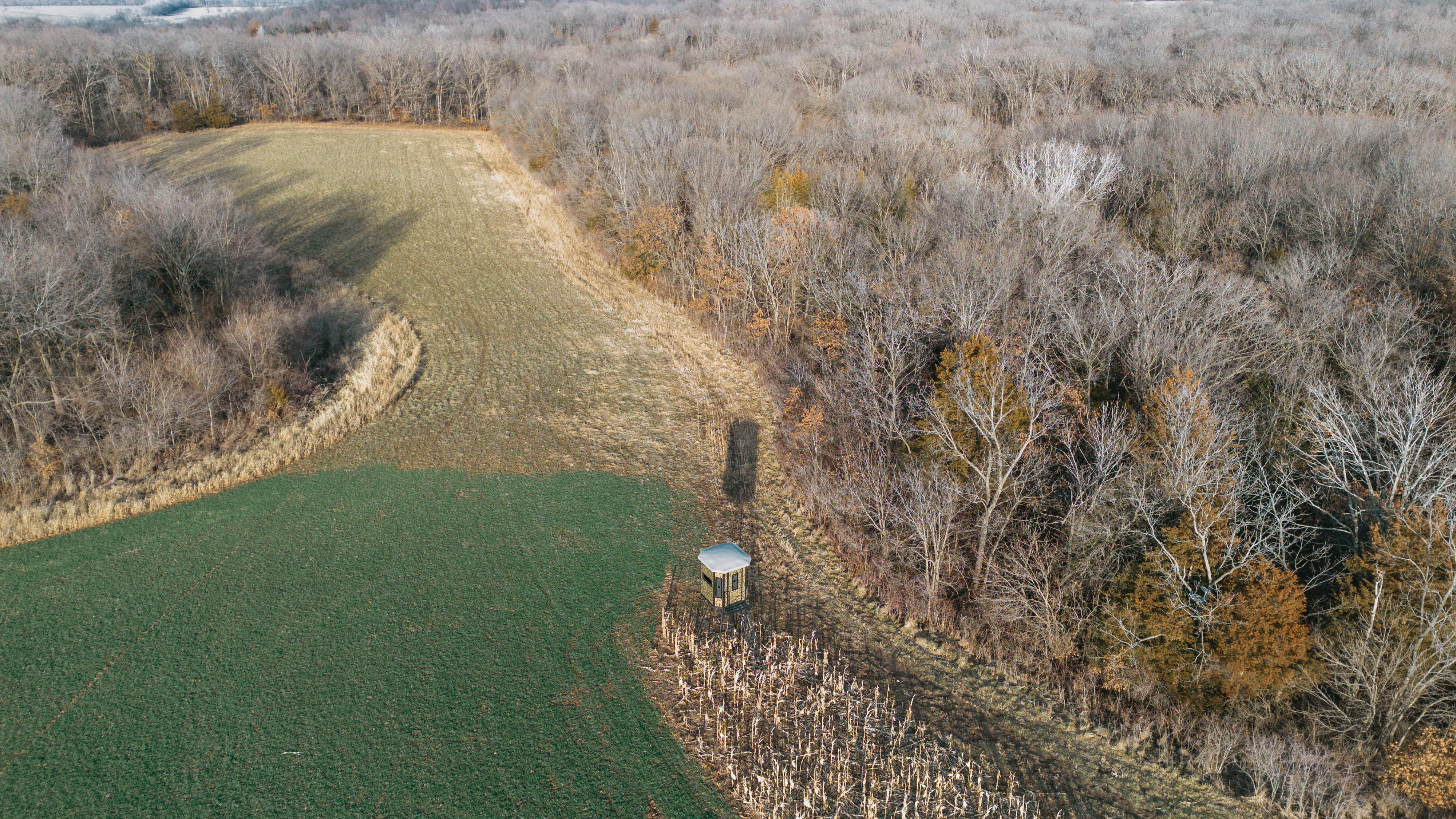 31702 127th Street - image 12
