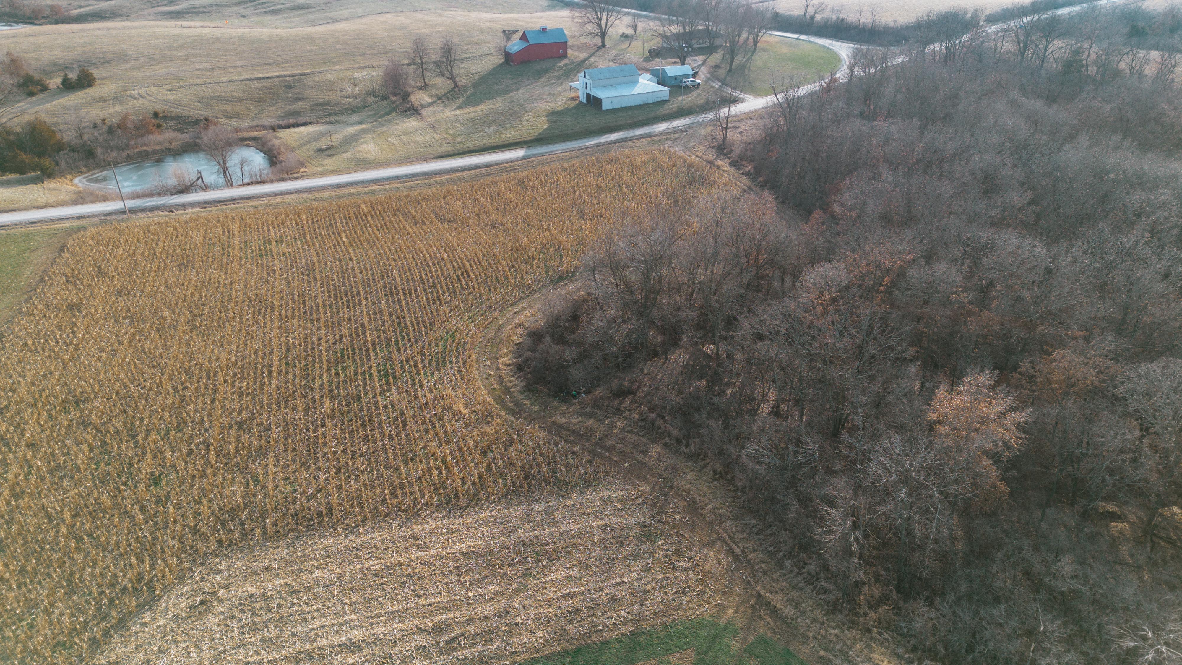 31702 127th Street - image 11