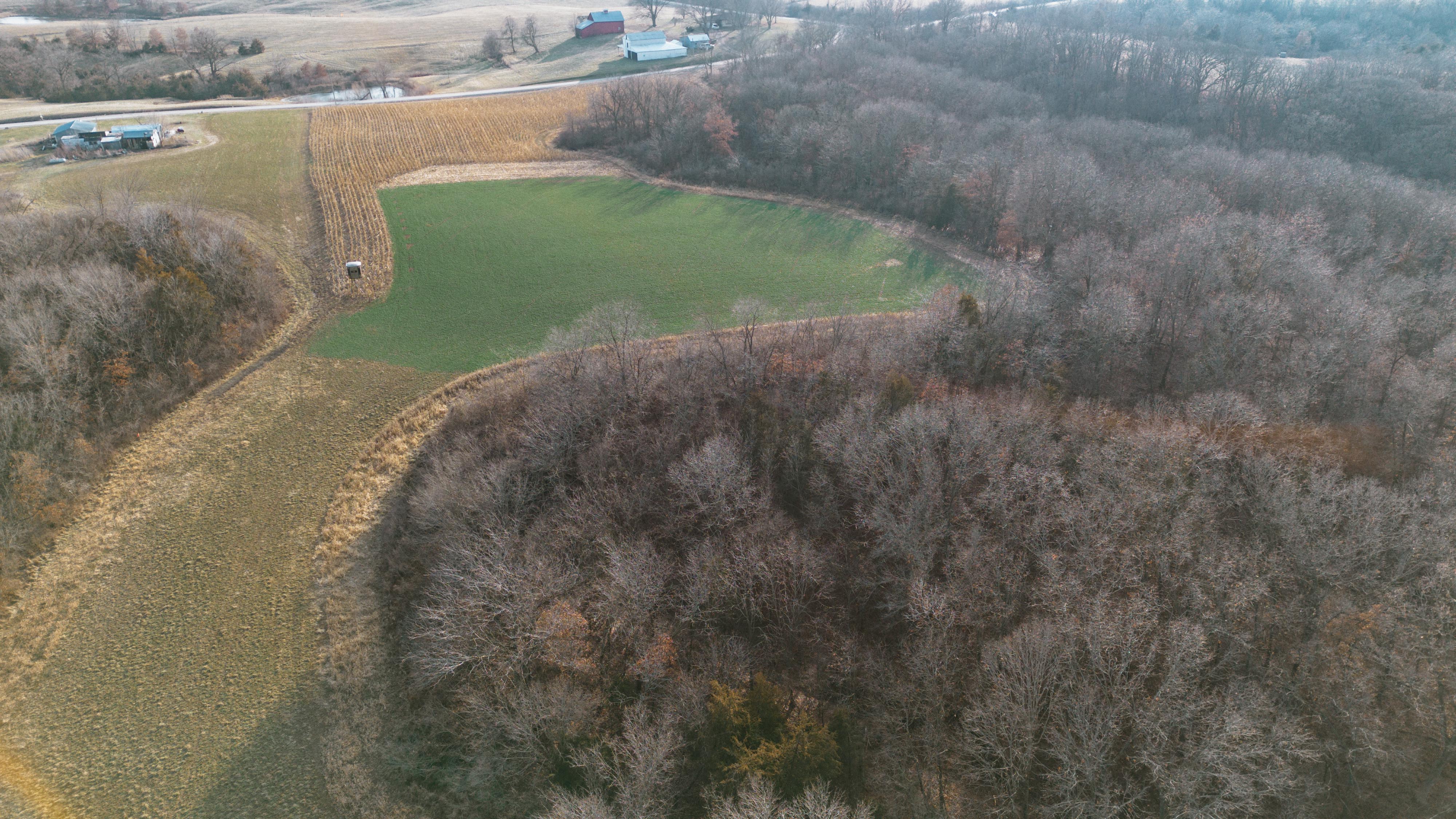 31702 127th Street - image 9