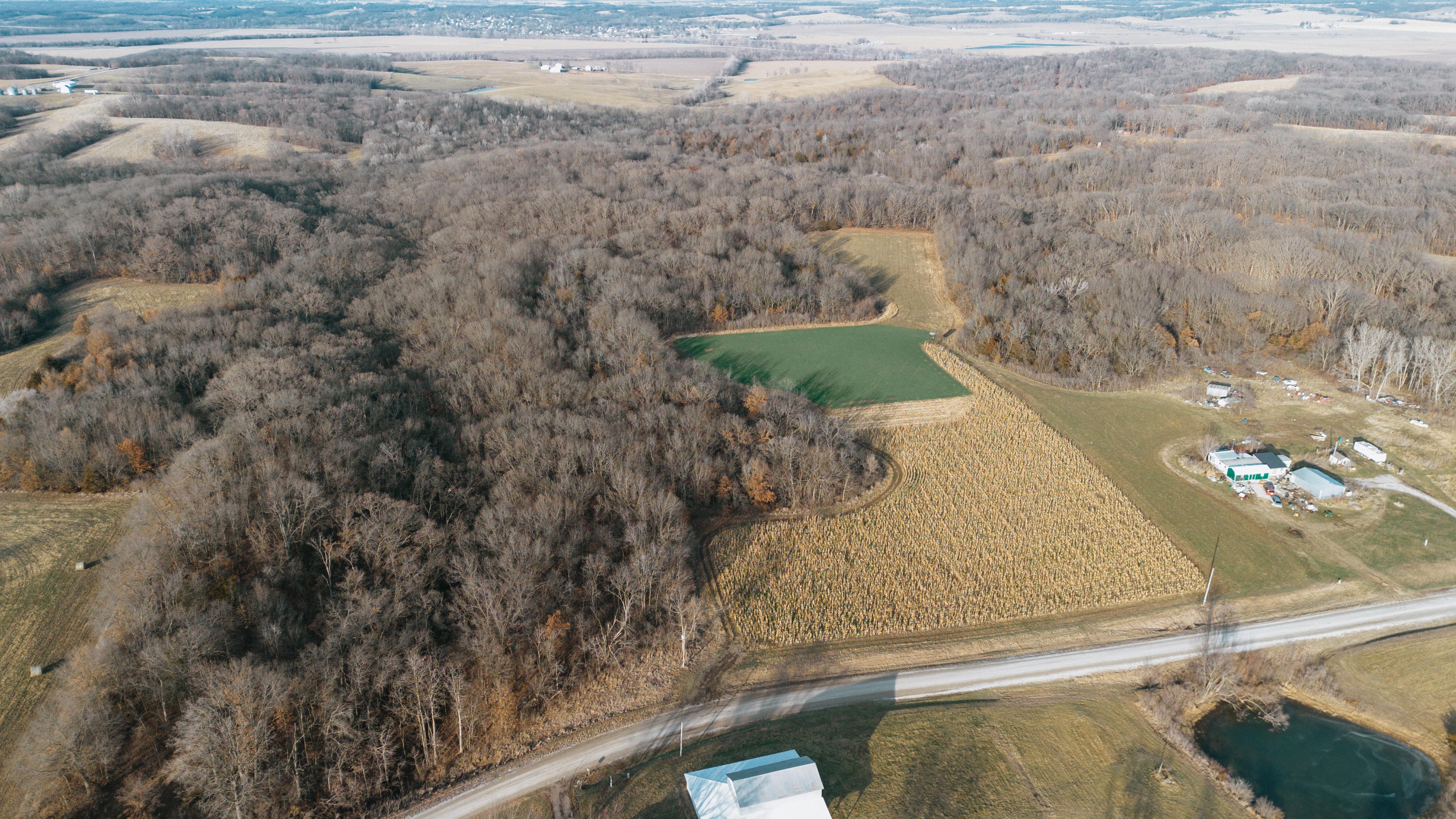 31702 127th Street - image 8