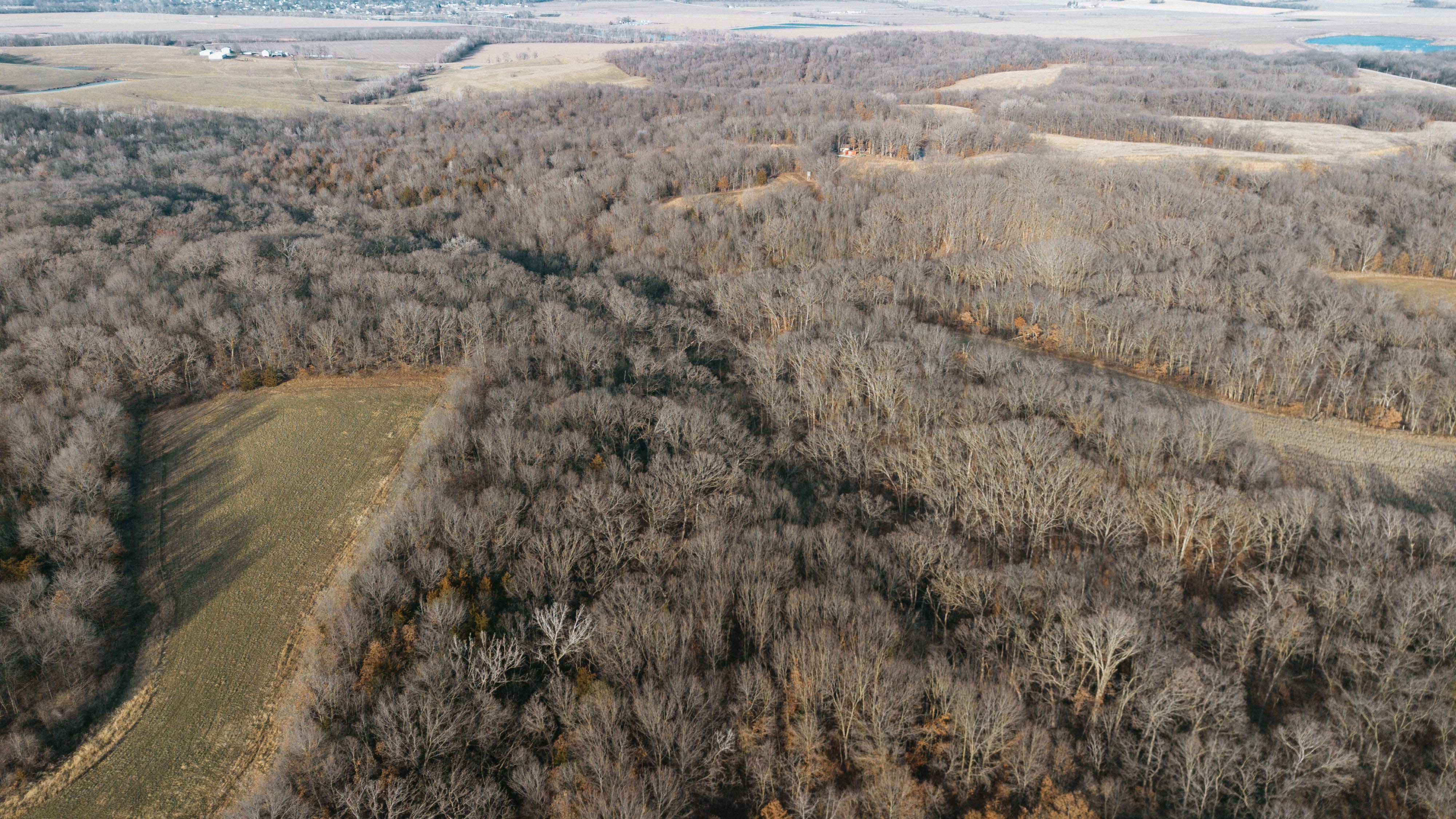 31702 127th Street - image 7