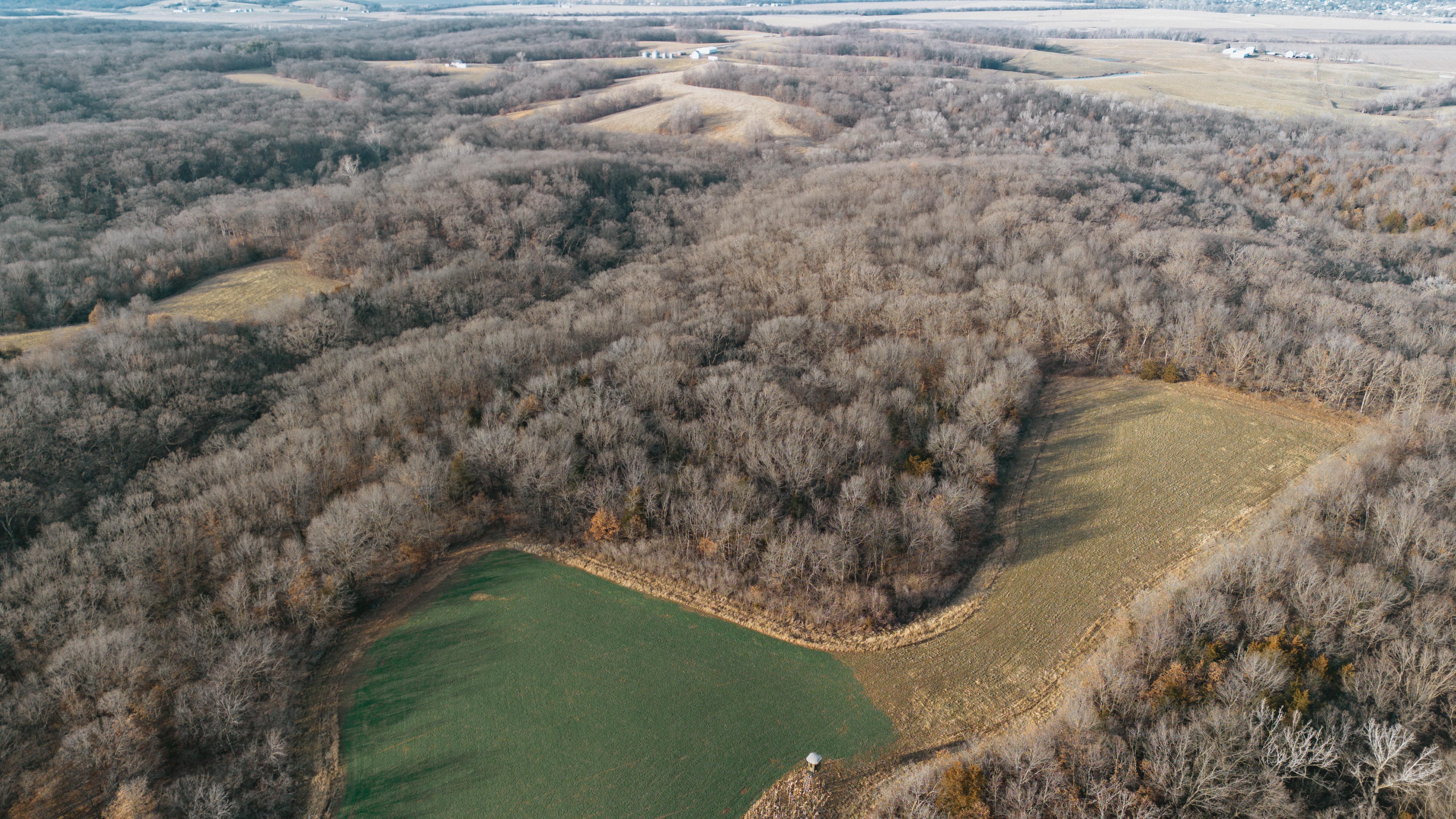 31702 127th Street - image 6