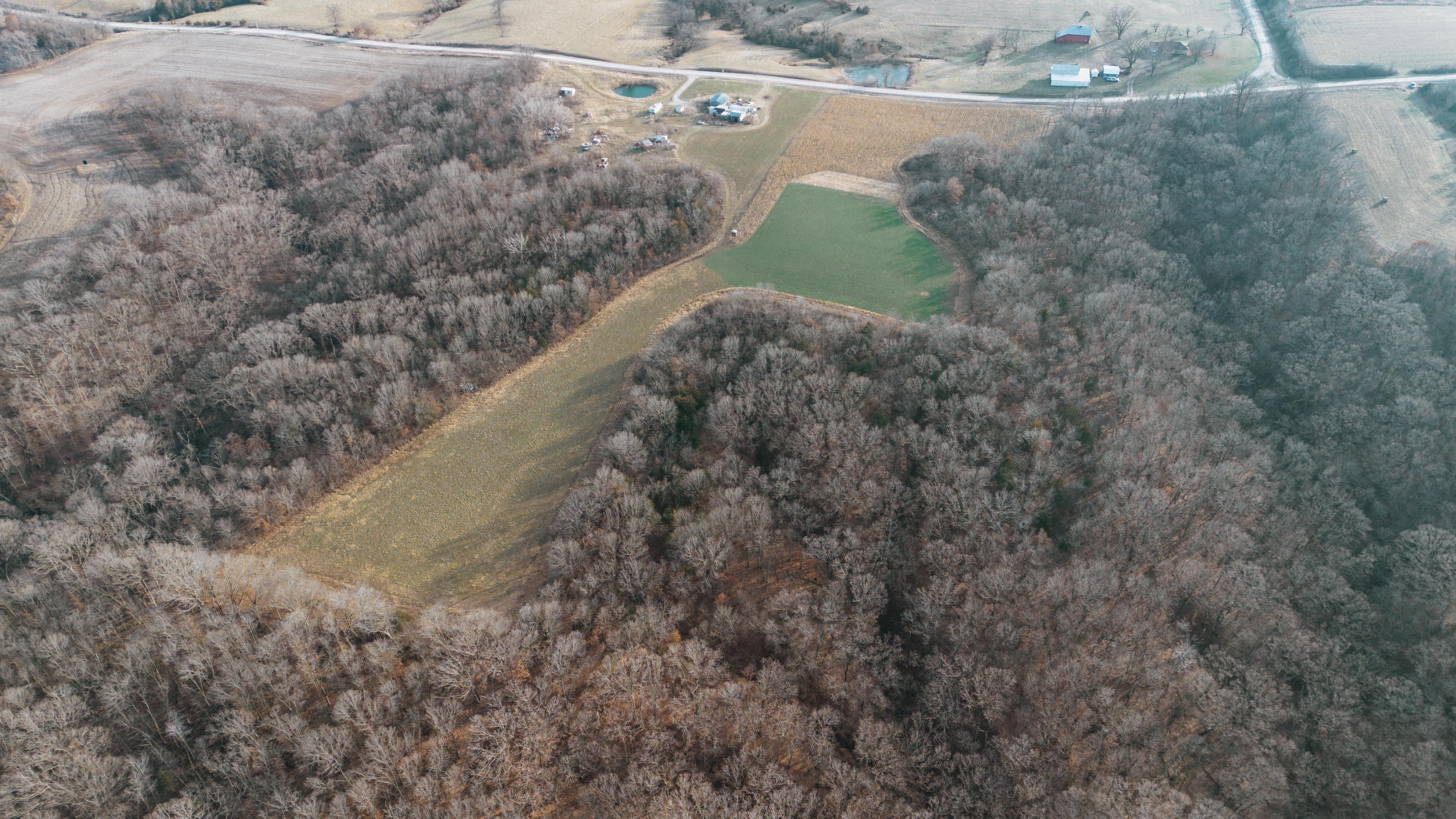 31702 127th Street - image 5