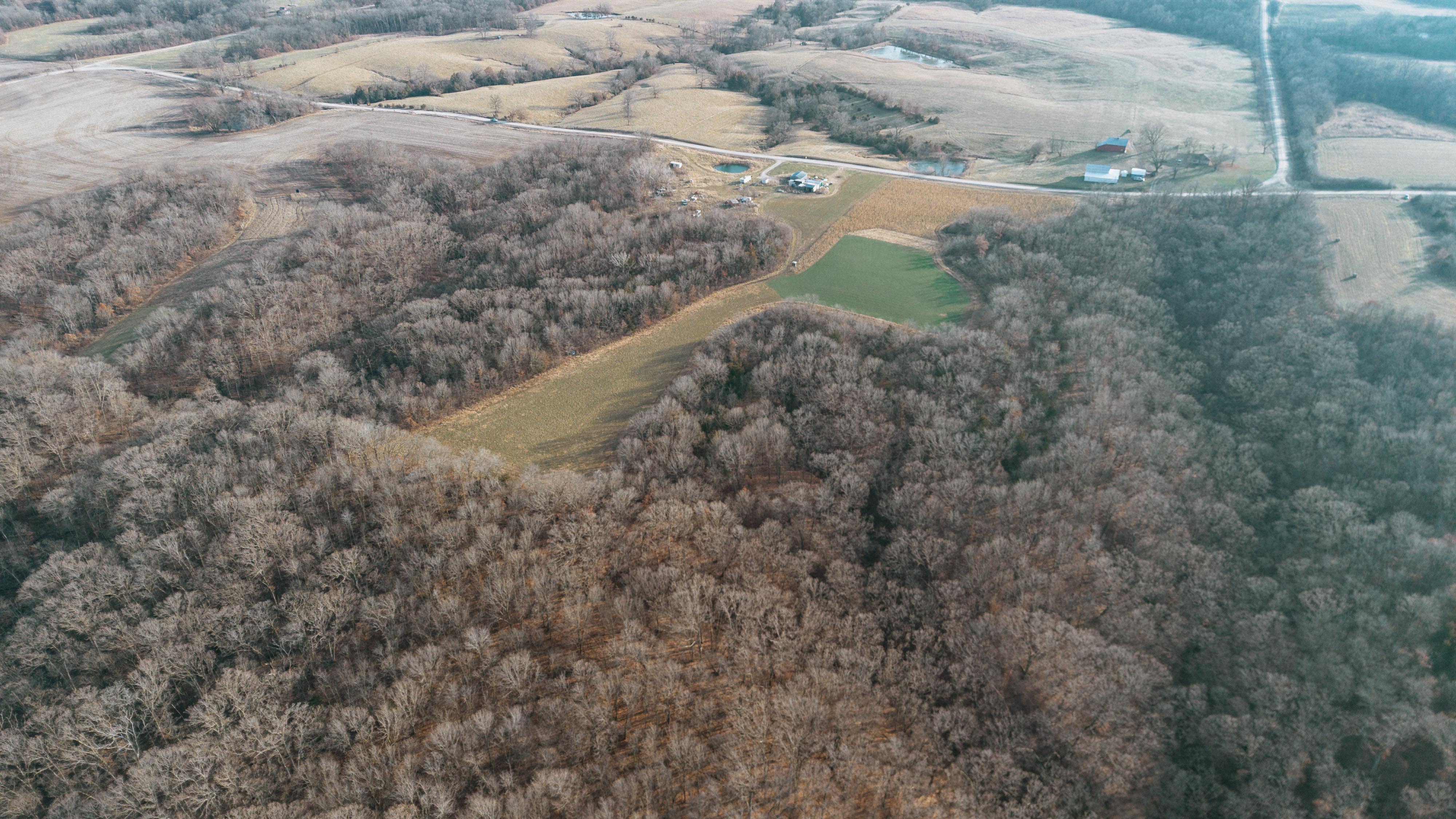 31702 127th Street - image 3