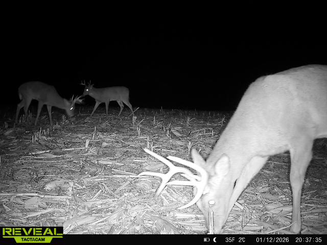 31702 127th Street - image 49