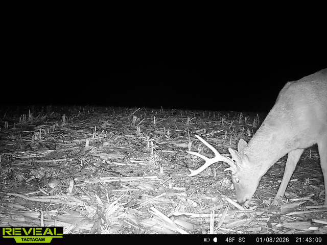 31702 127th Street - image 50