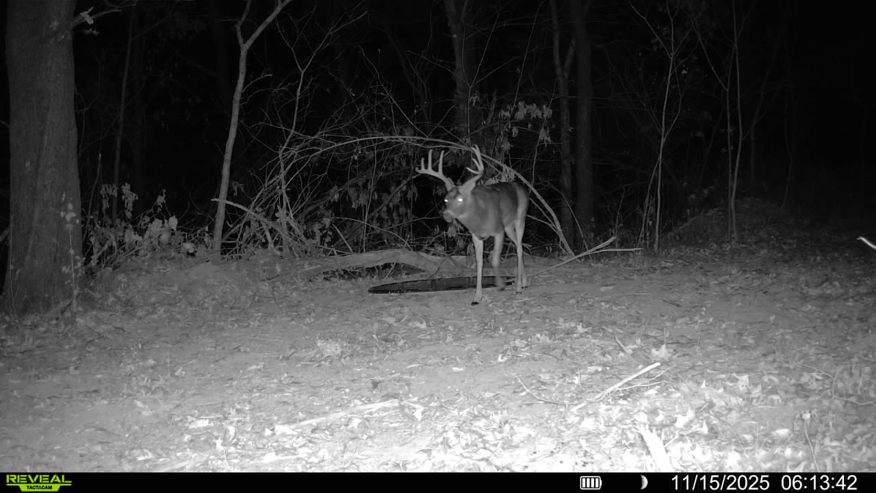 31702 127th Street - image 45