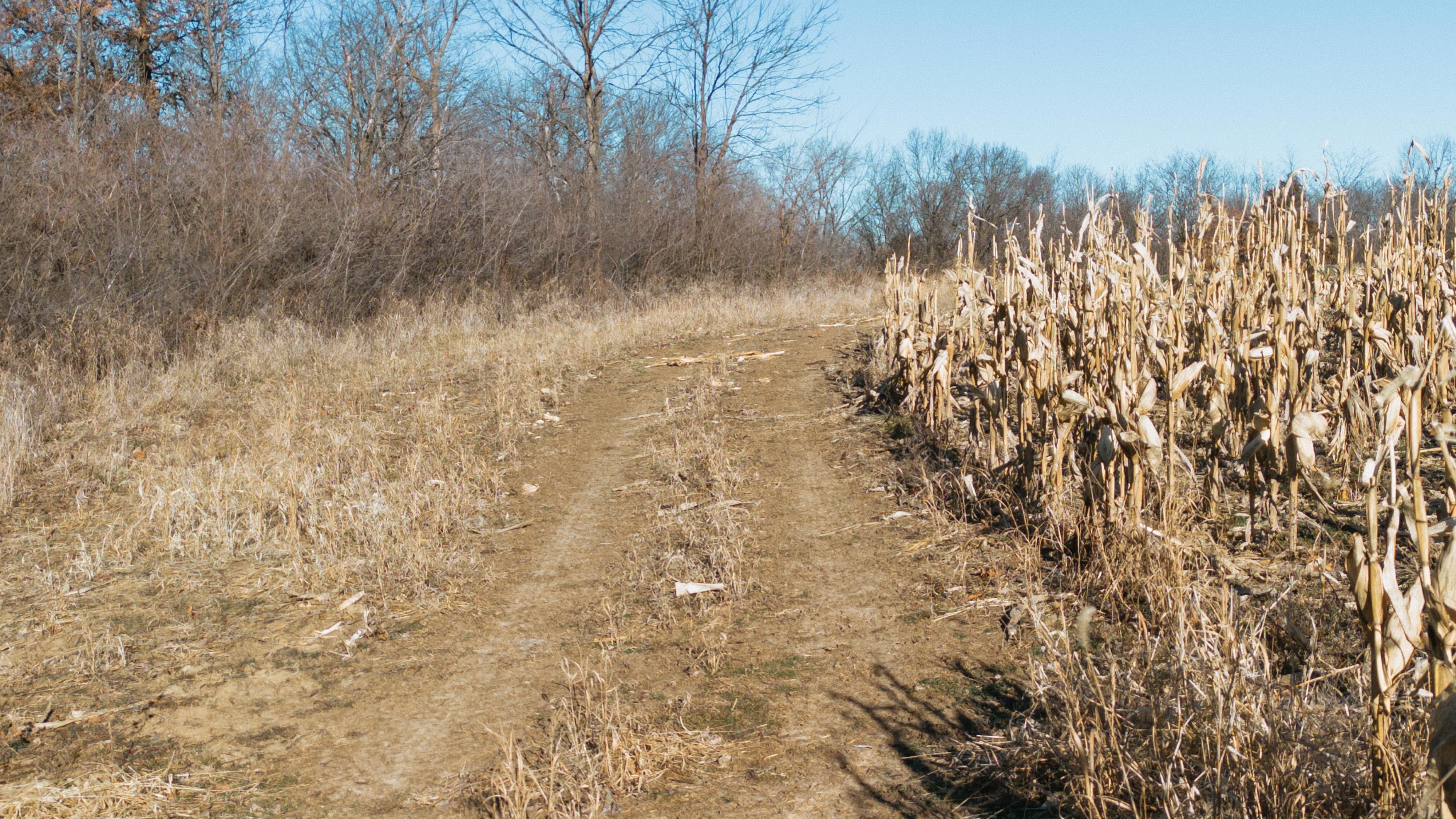 31702 127th Street - image 46