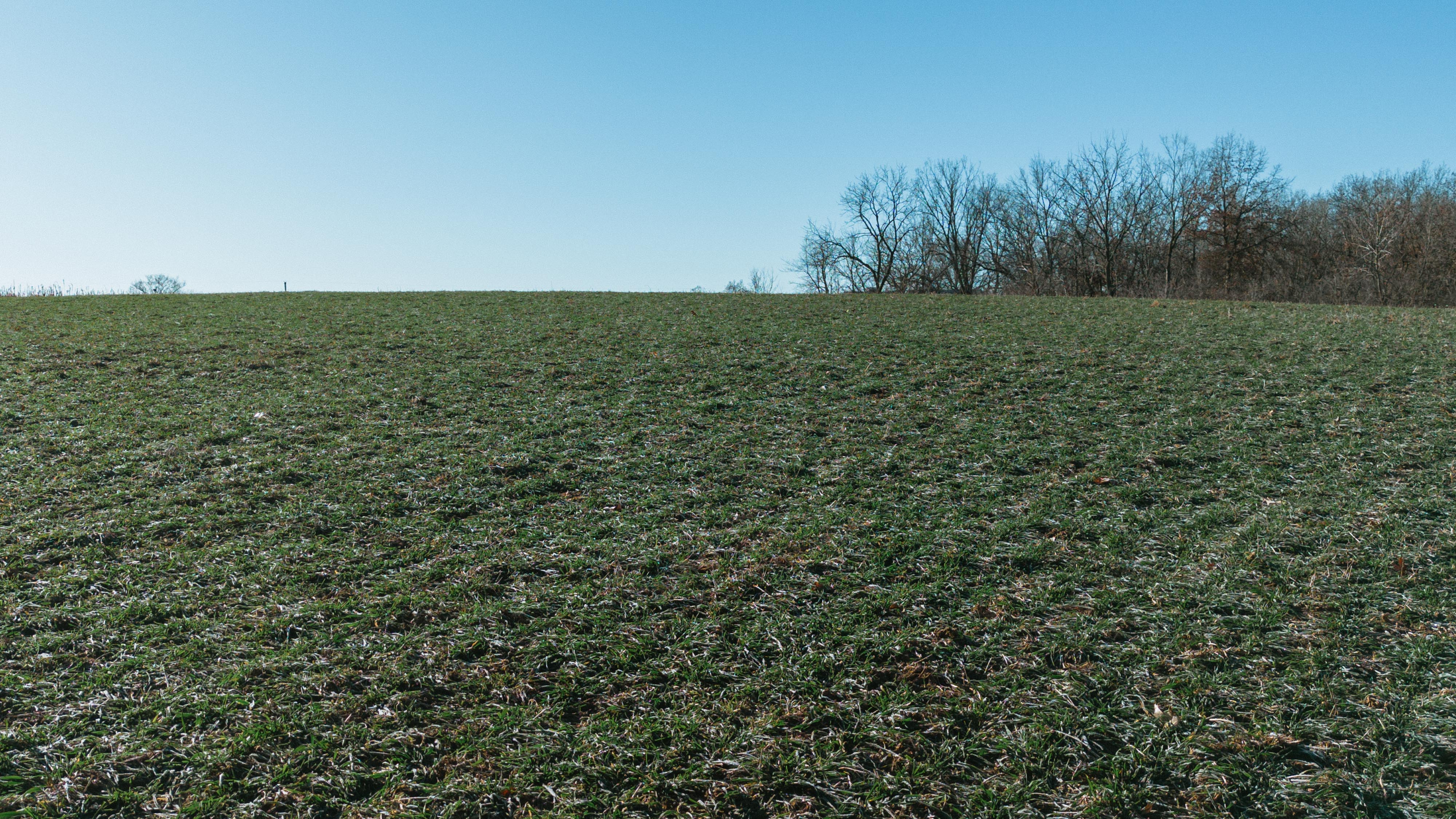 31702 127th Street - image 43