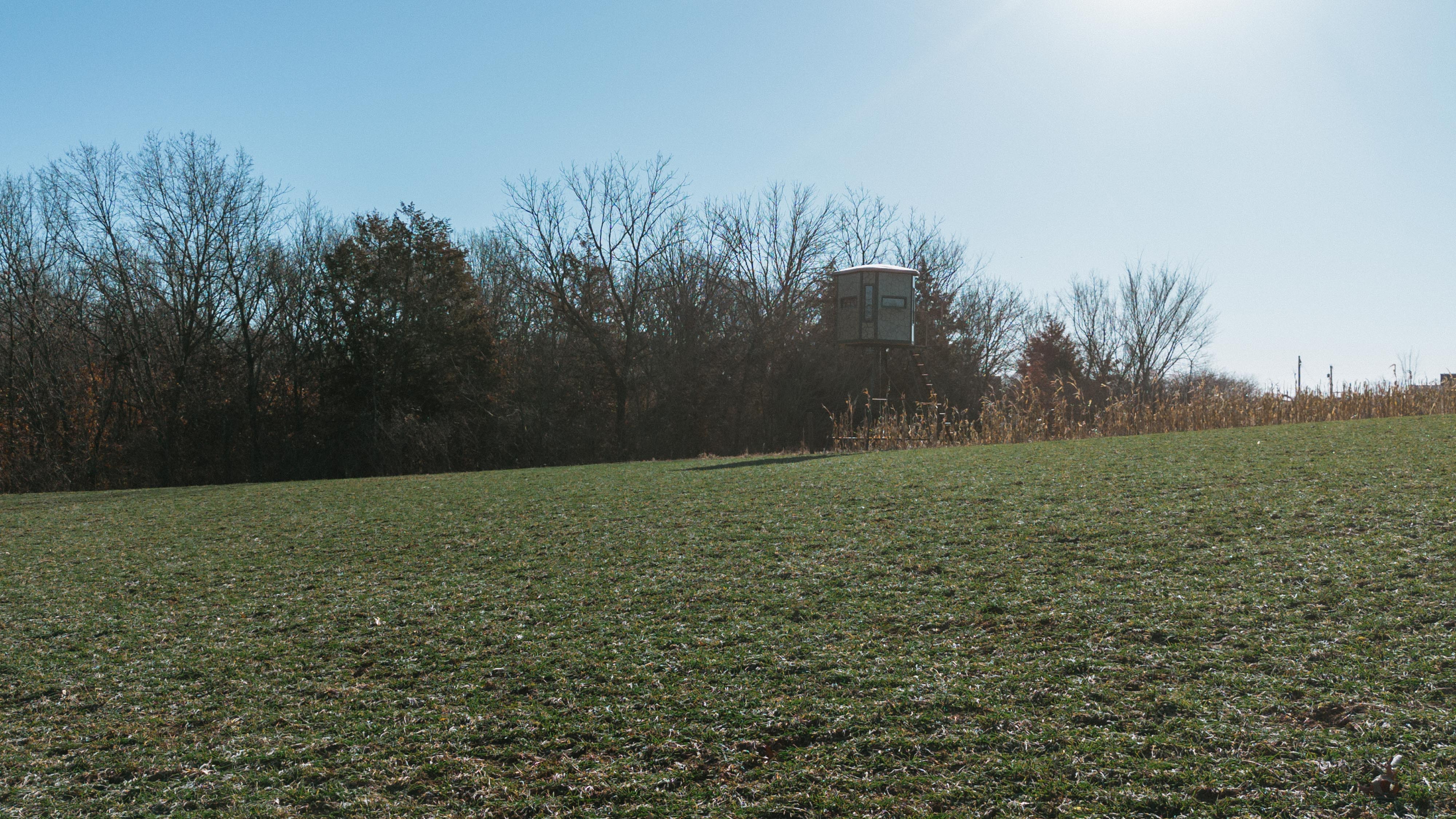 31702 127th Street - image 42