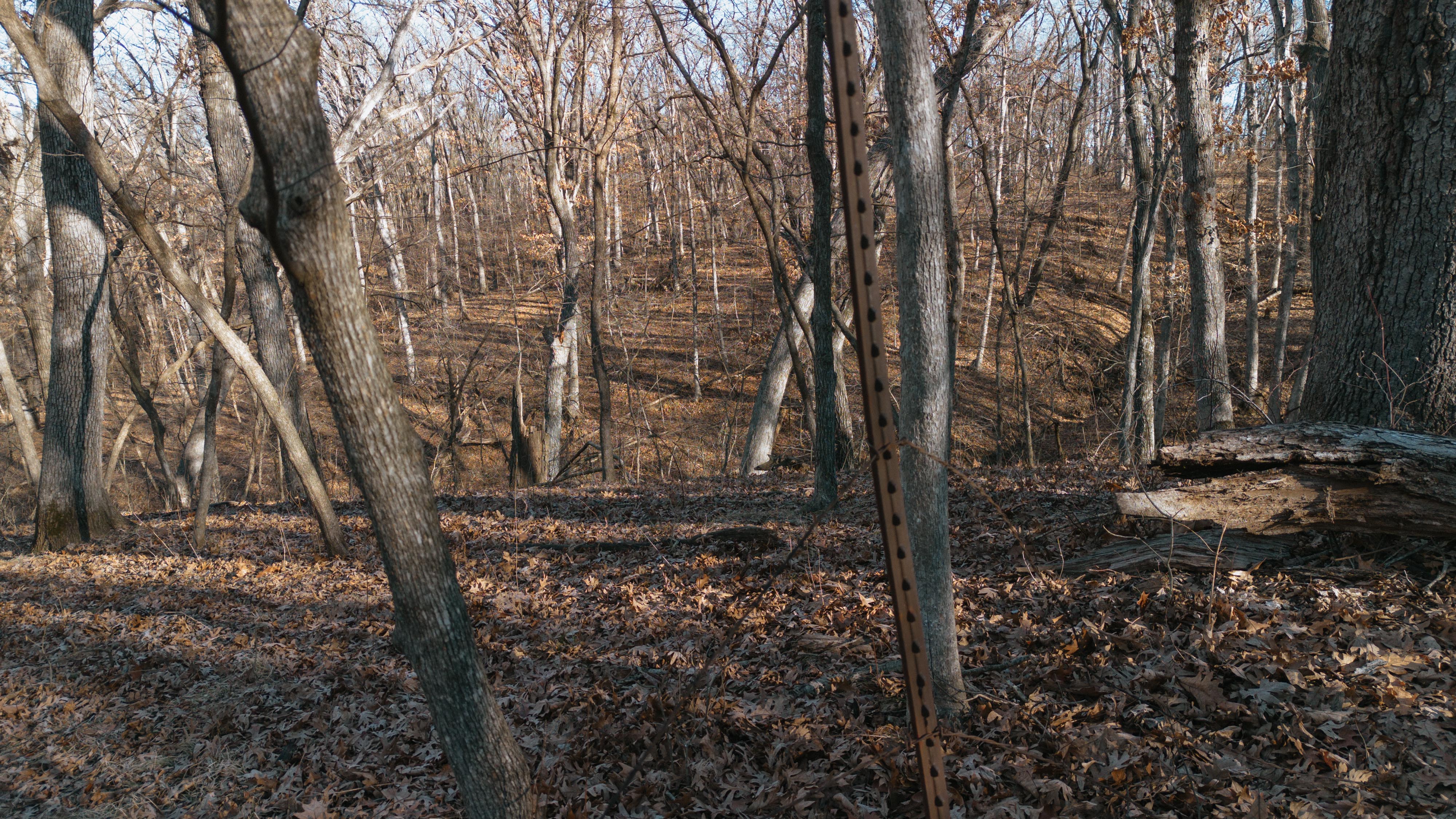 31702 127th Street - image 41