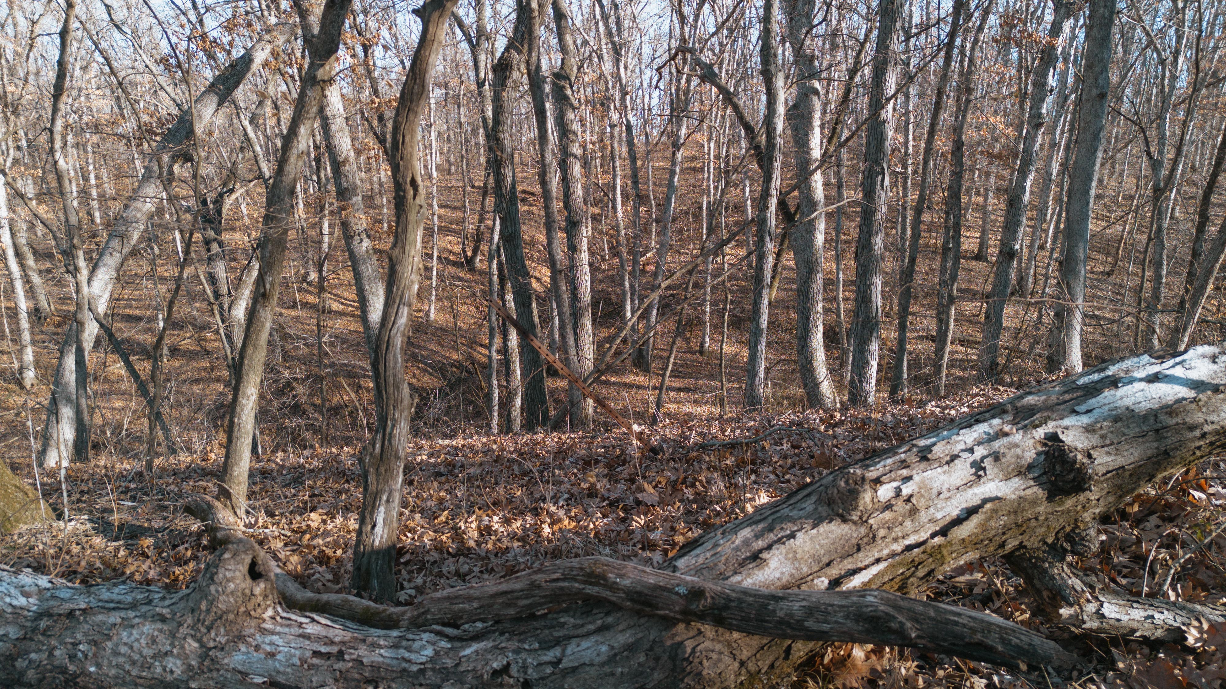 31702 127th Street - image 40