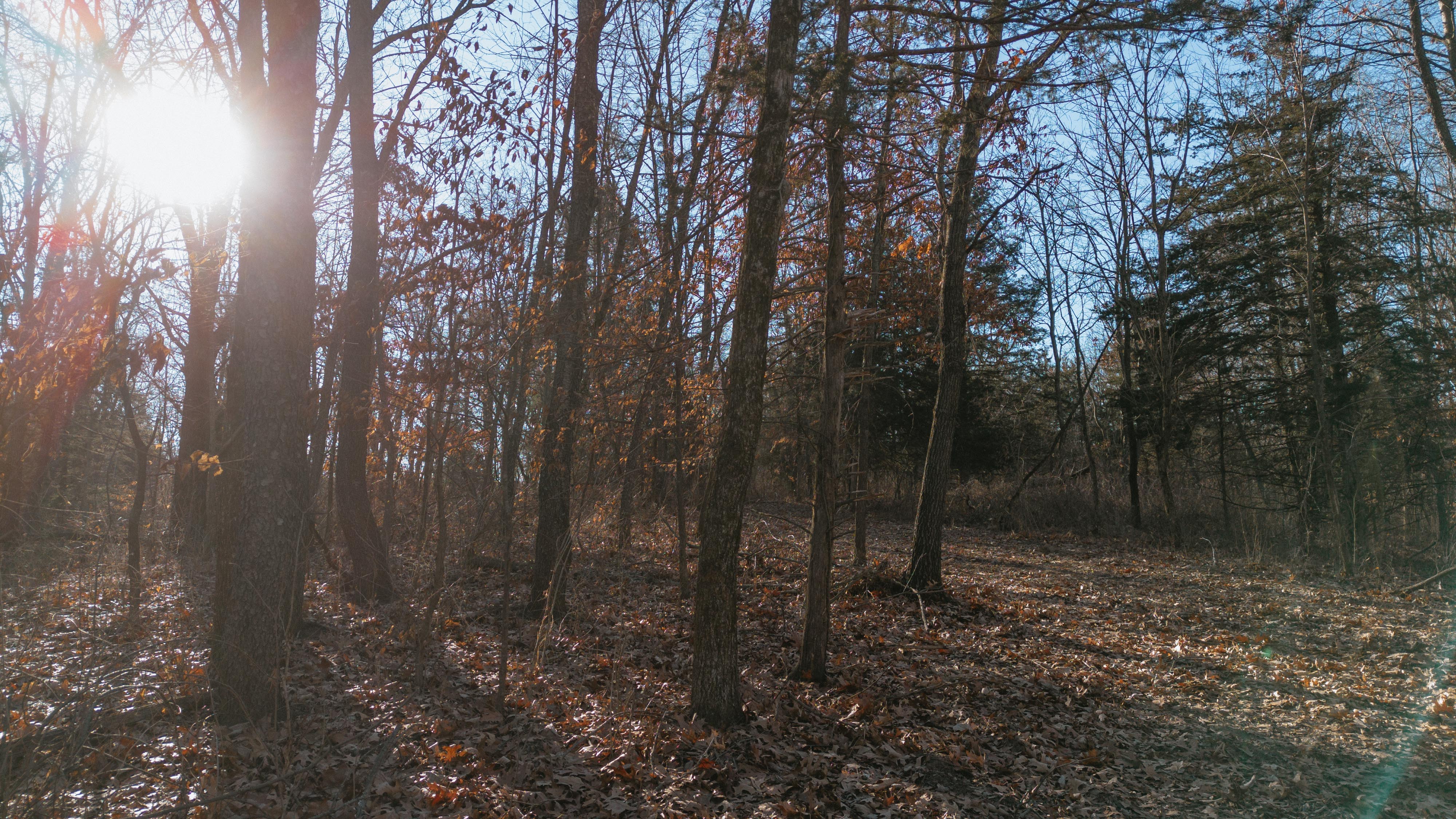 31702 127th Street - image 39