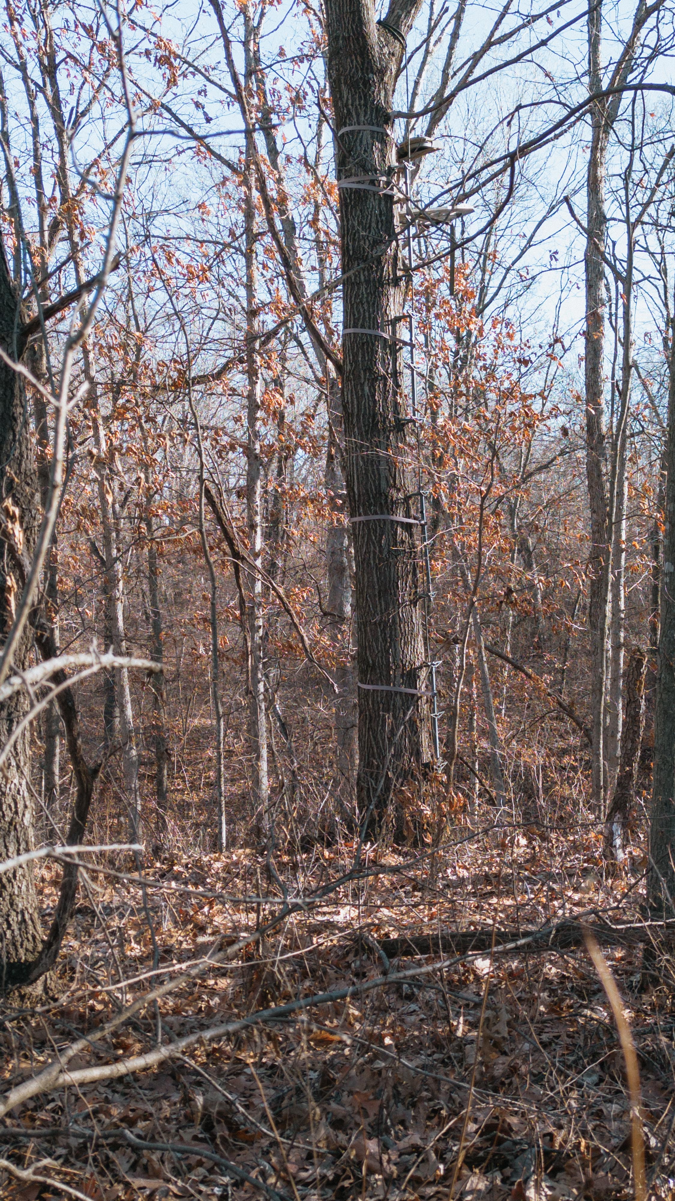 31702 127th Street - image 35