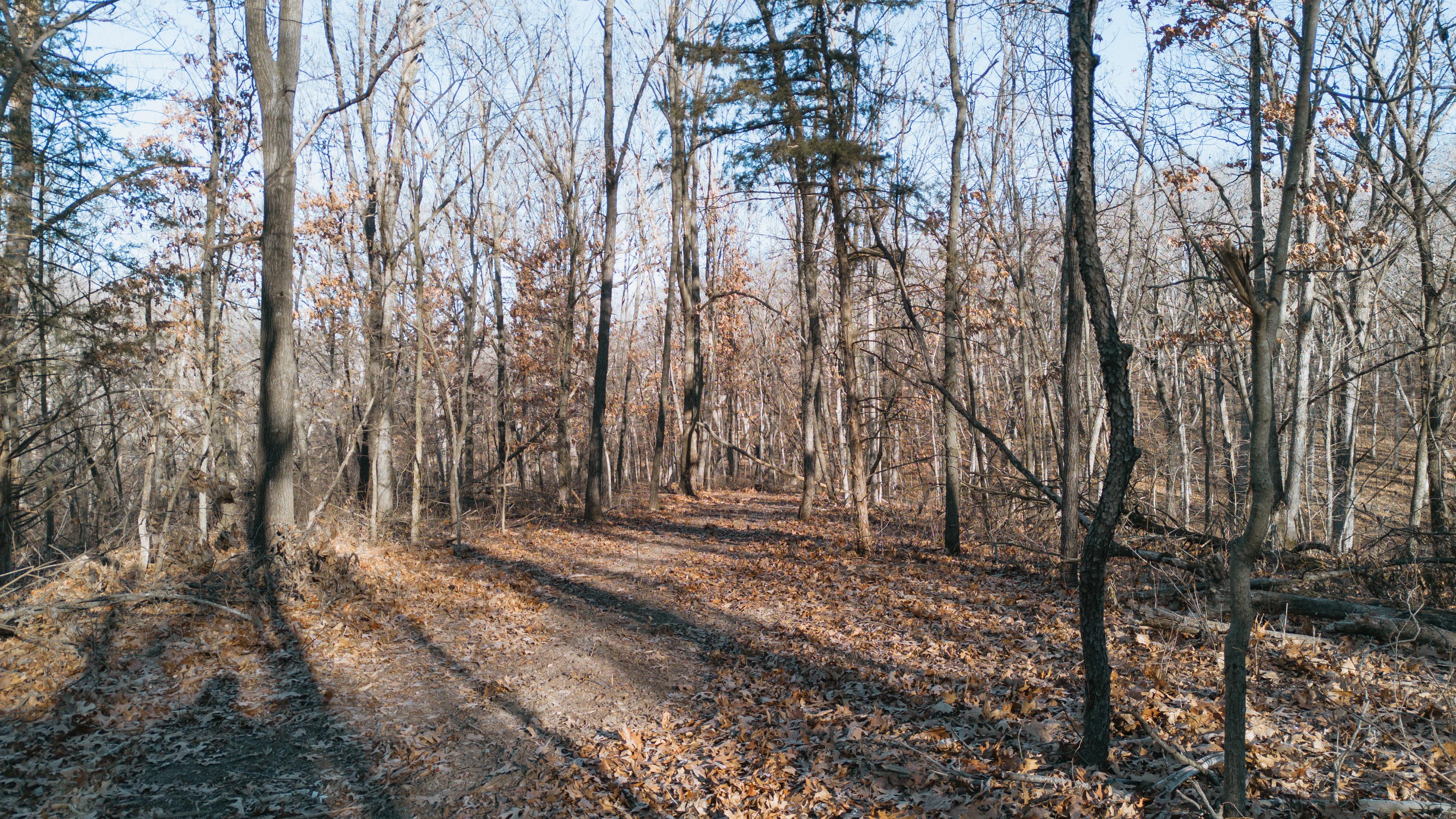 31702 127th Street - image 34