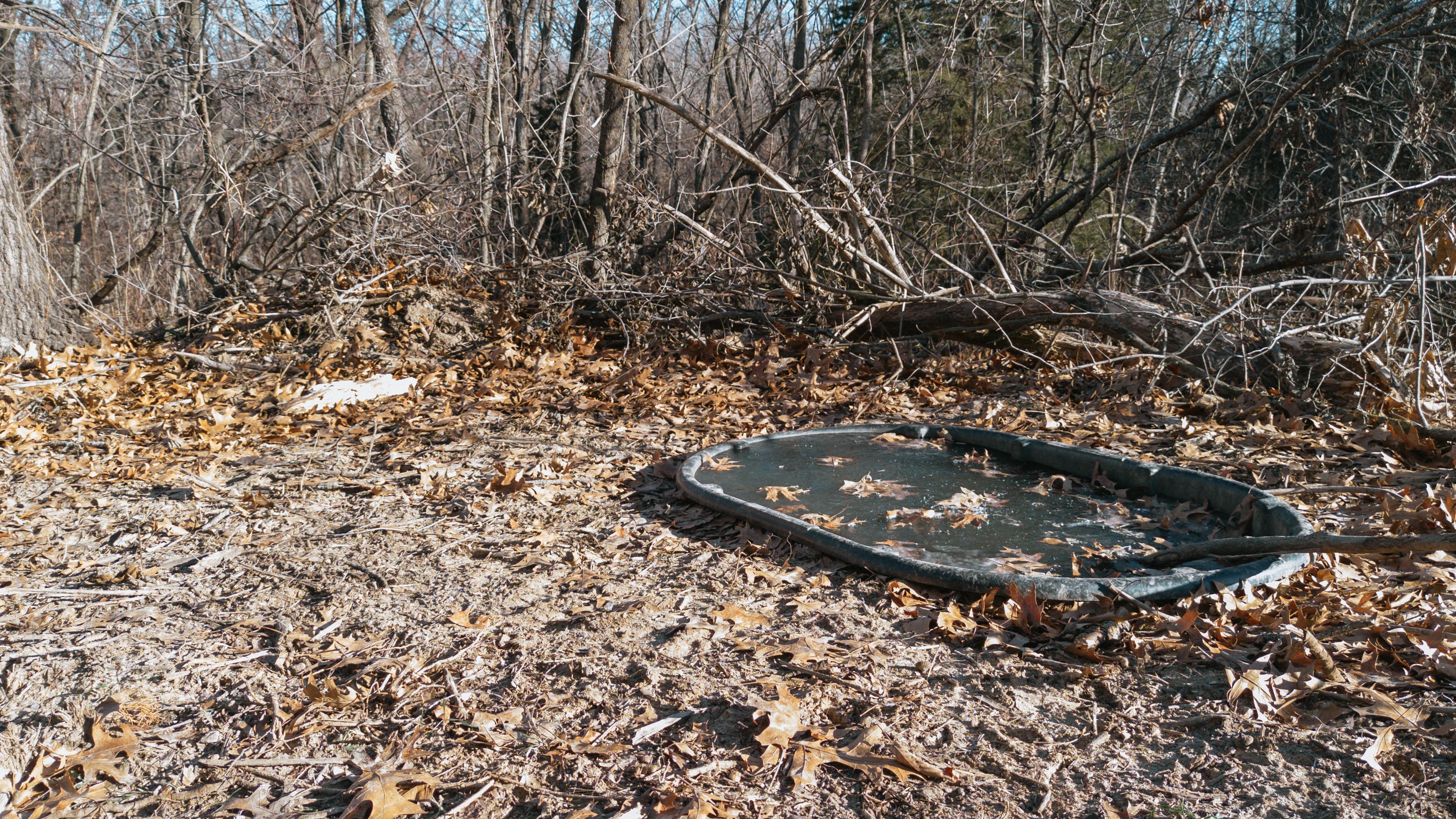 31702 127th Street - image 28