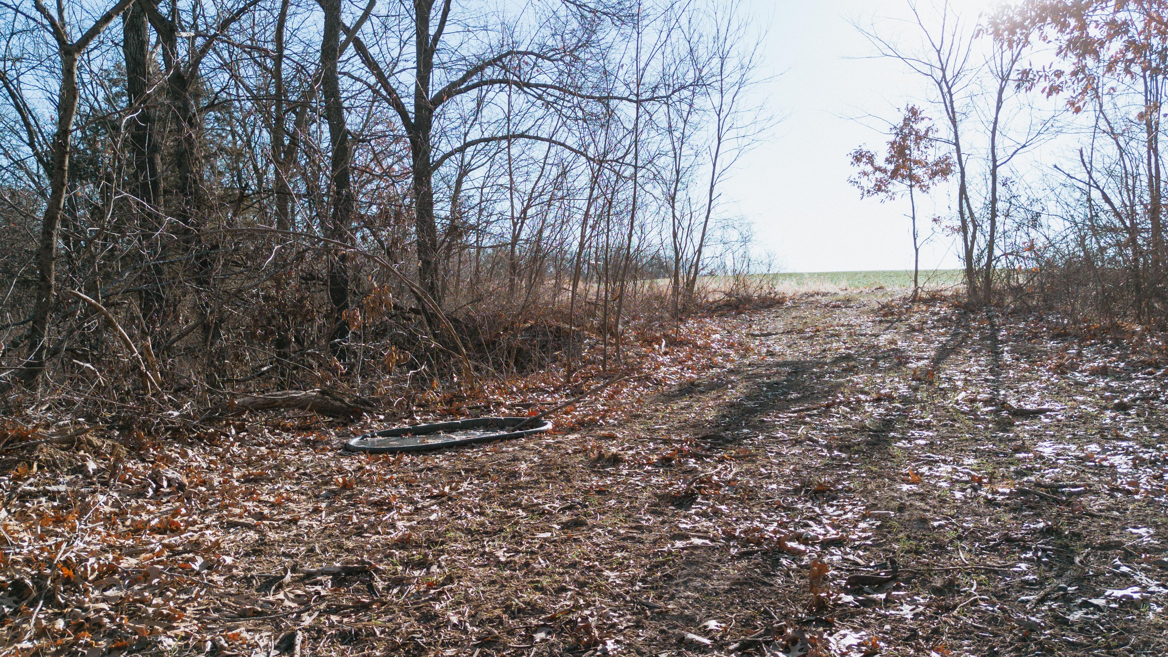 31702 127th Street - image 27