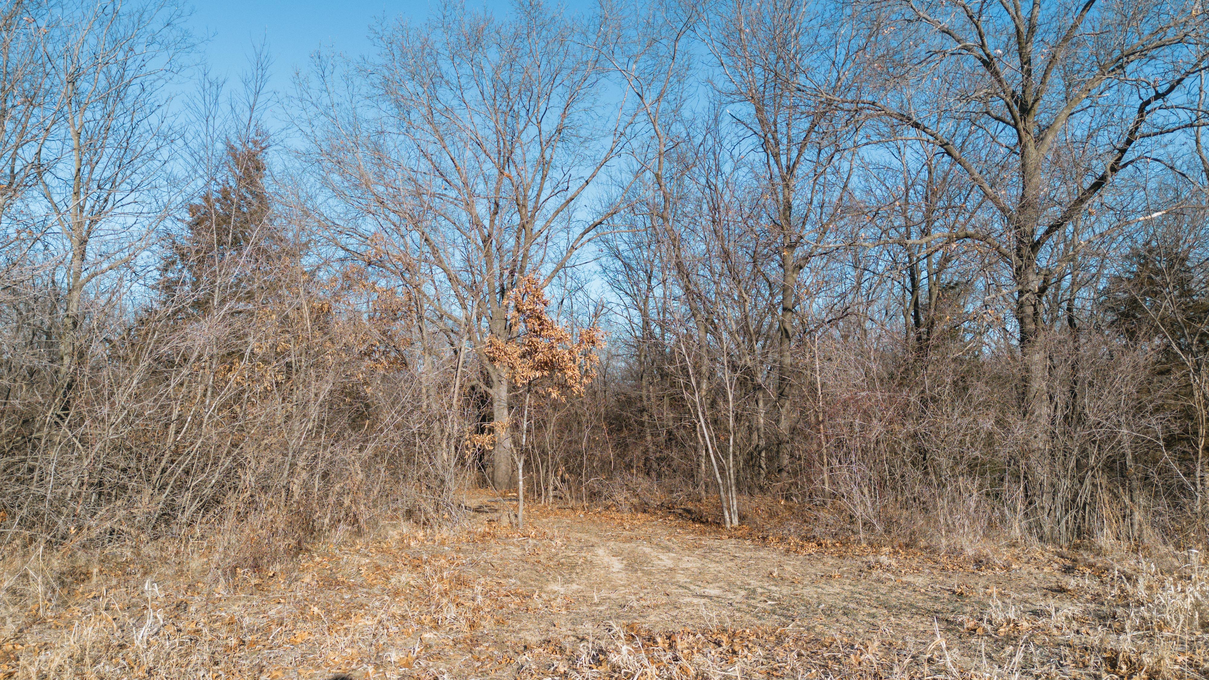 31702 127th Street - image 26