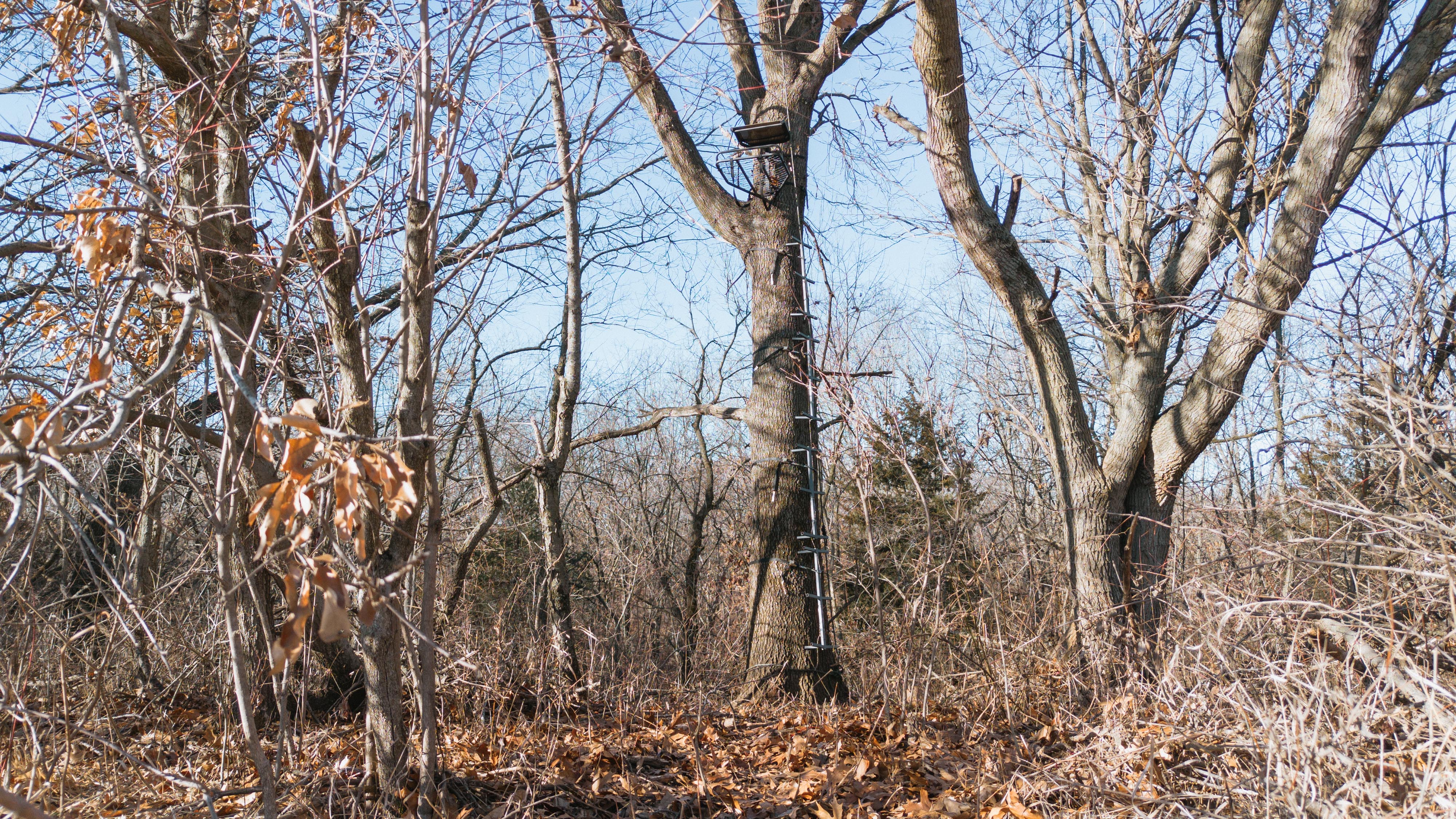 31702 127th Street - image 25