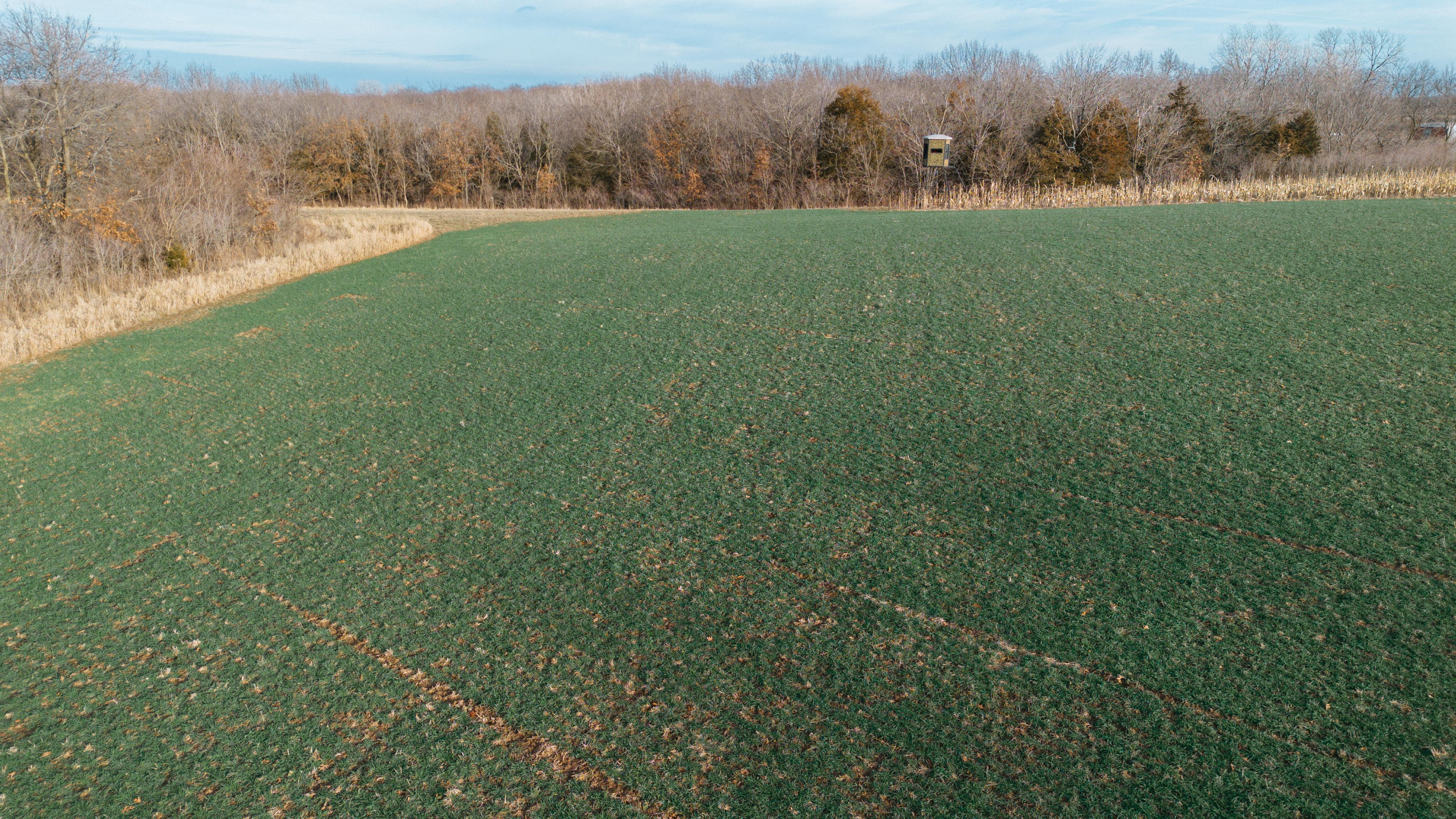 31702 127th Street - image 23