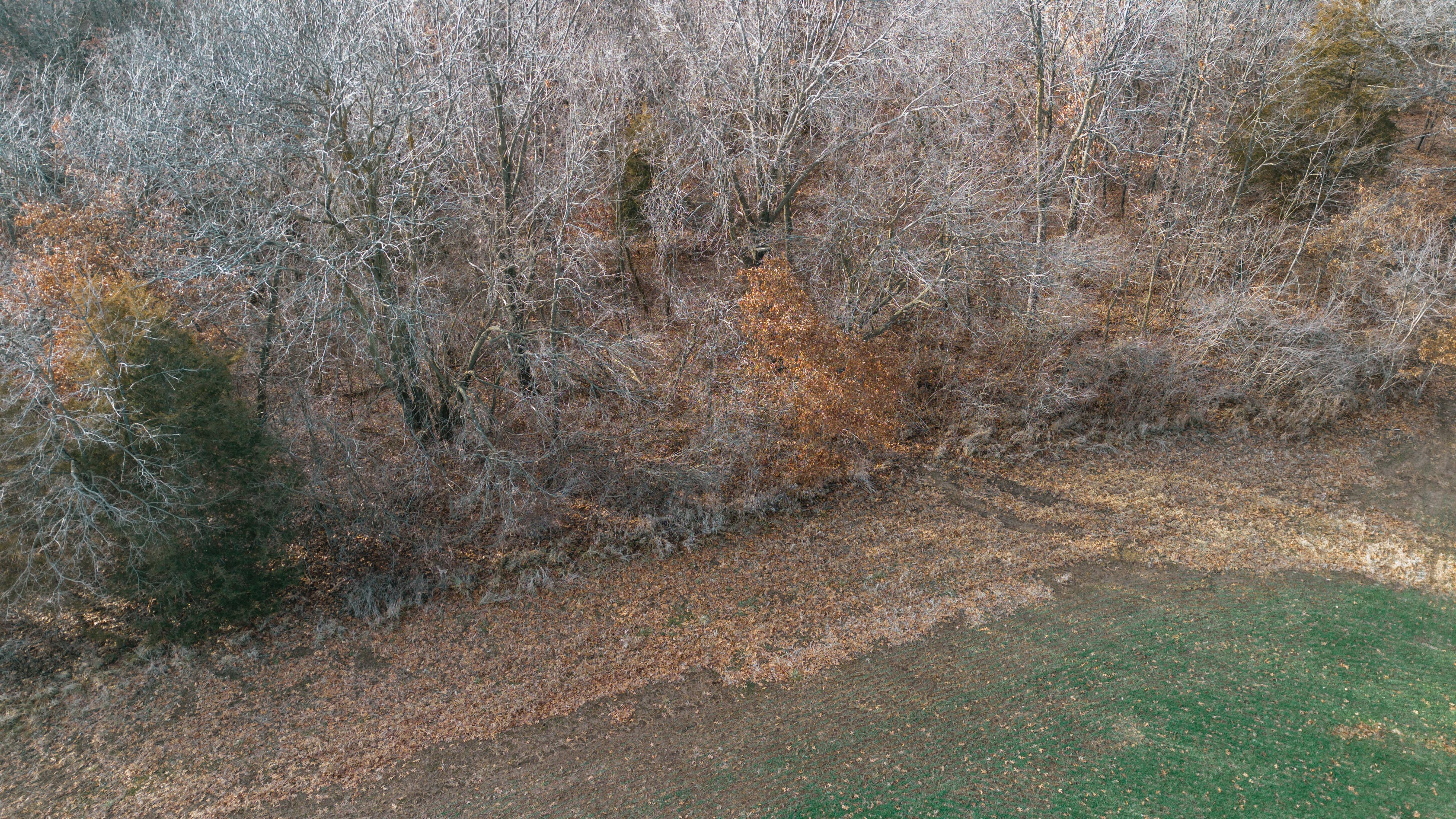 31702 127th Street - image 22